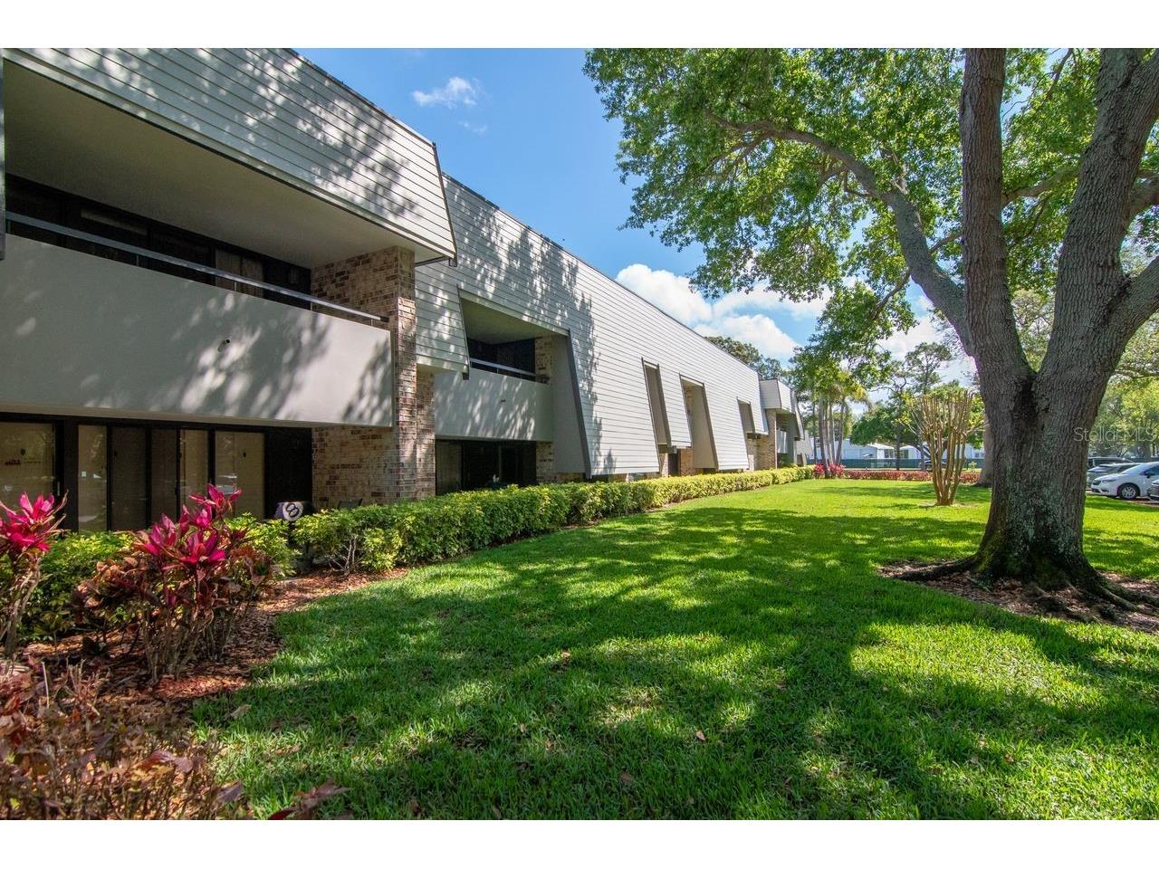 36750 Us Highway 19 N #7-108 Palm Harbor FL 34683 TB8487524 image44