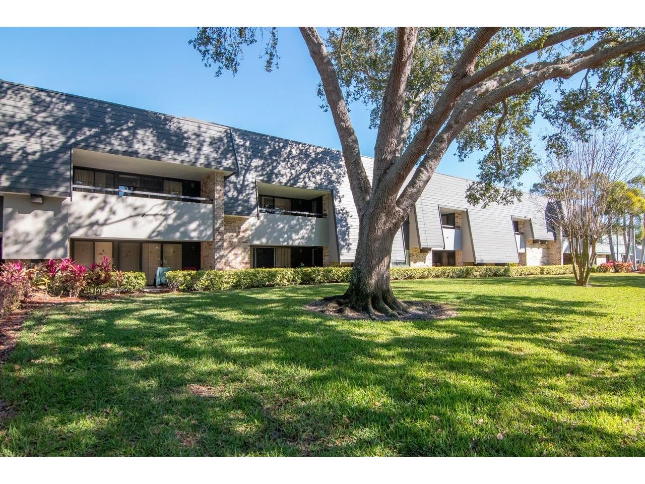 36750 Us Highway 19 N #7-110 Palm Harbor FL 34683 TB8474626 image1