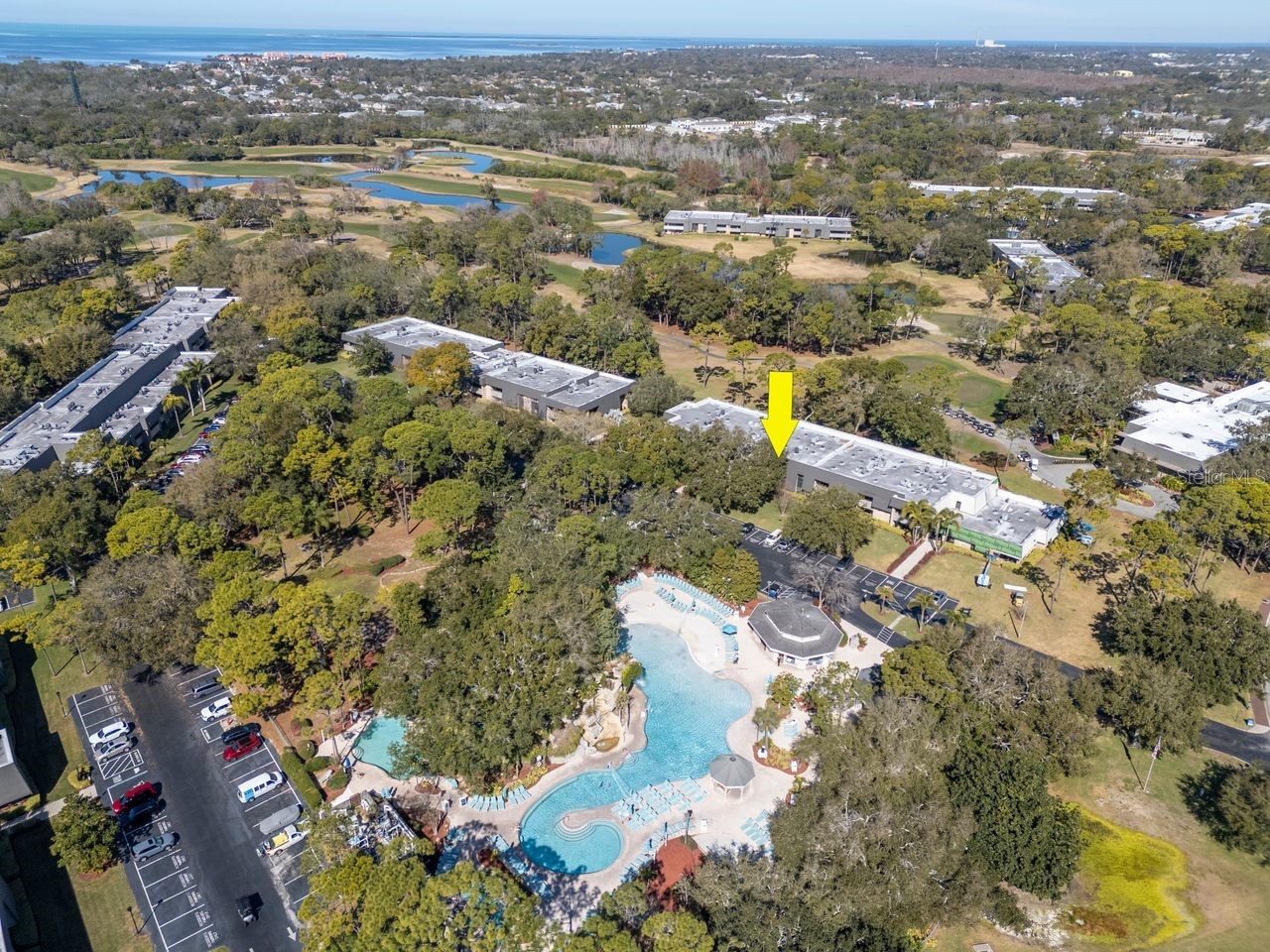 36750 Us Highway 19 N #7-110 Palm Harbor FL 34683 TB8474626 image16