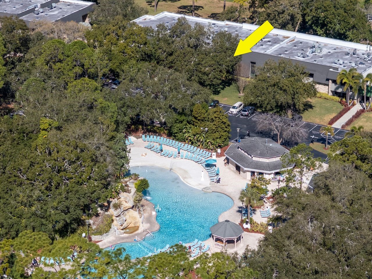 36750 Us Highway 19 N #7-110 Palm Harbor FL 34683 TB8474626 image18