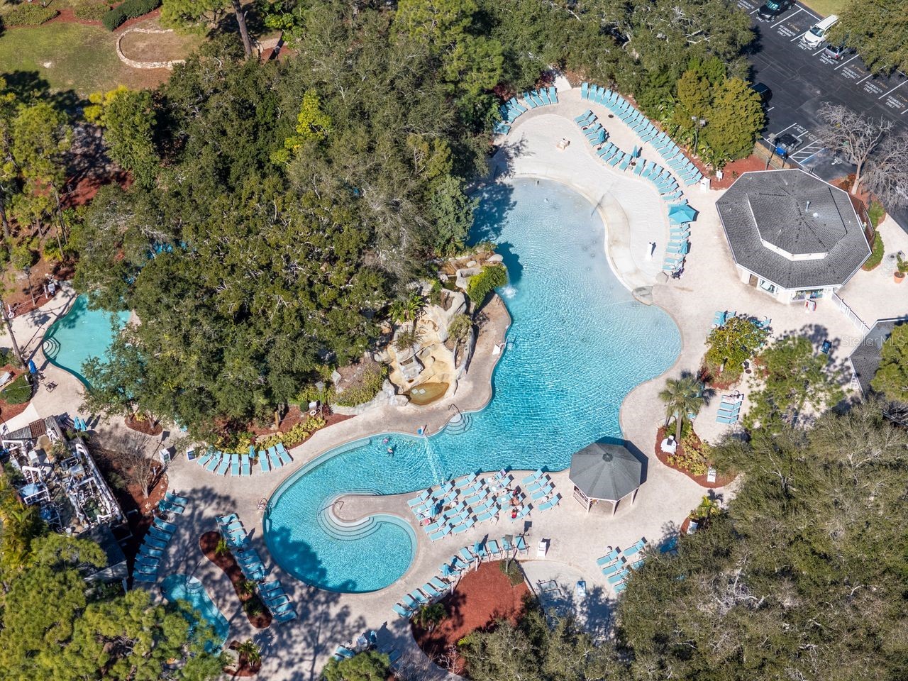 36750 Us Highway 19 N #7-110 Palm Harbor FL 34683 TB8474626 image19