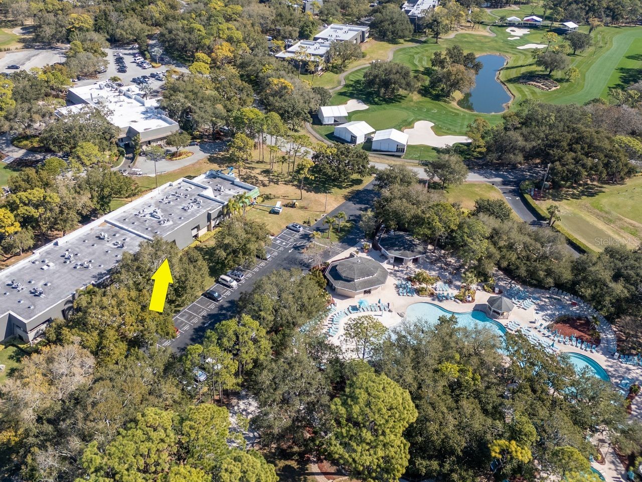 36750 Us Highway 19 N #7-110 Palm Harbor FL 34683 TB8474626 image68