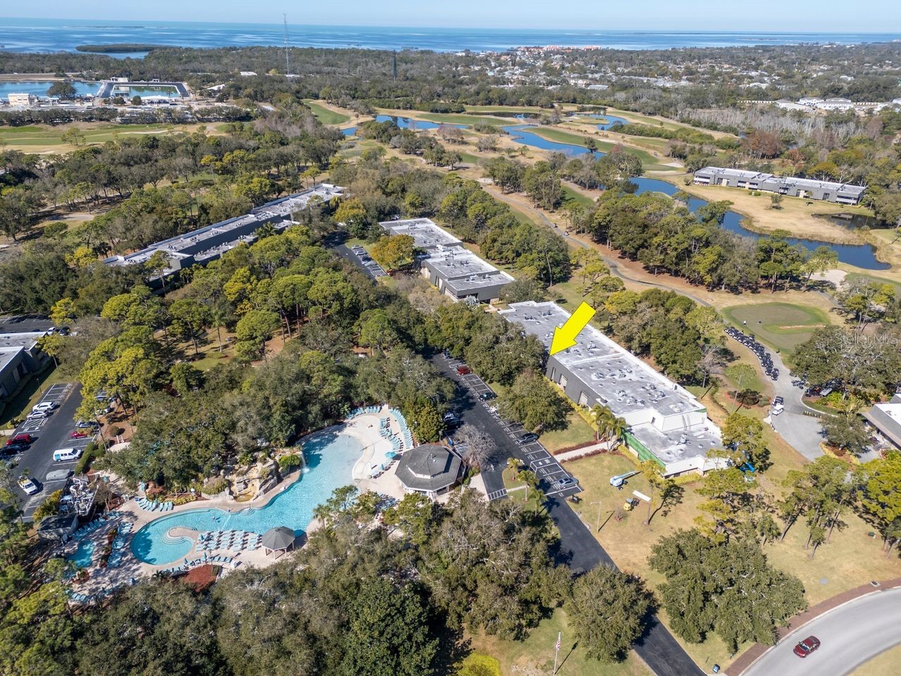 36750 Us Highway 19 N #7-110 Palm Harbor FL 34683 TB8474626 image69