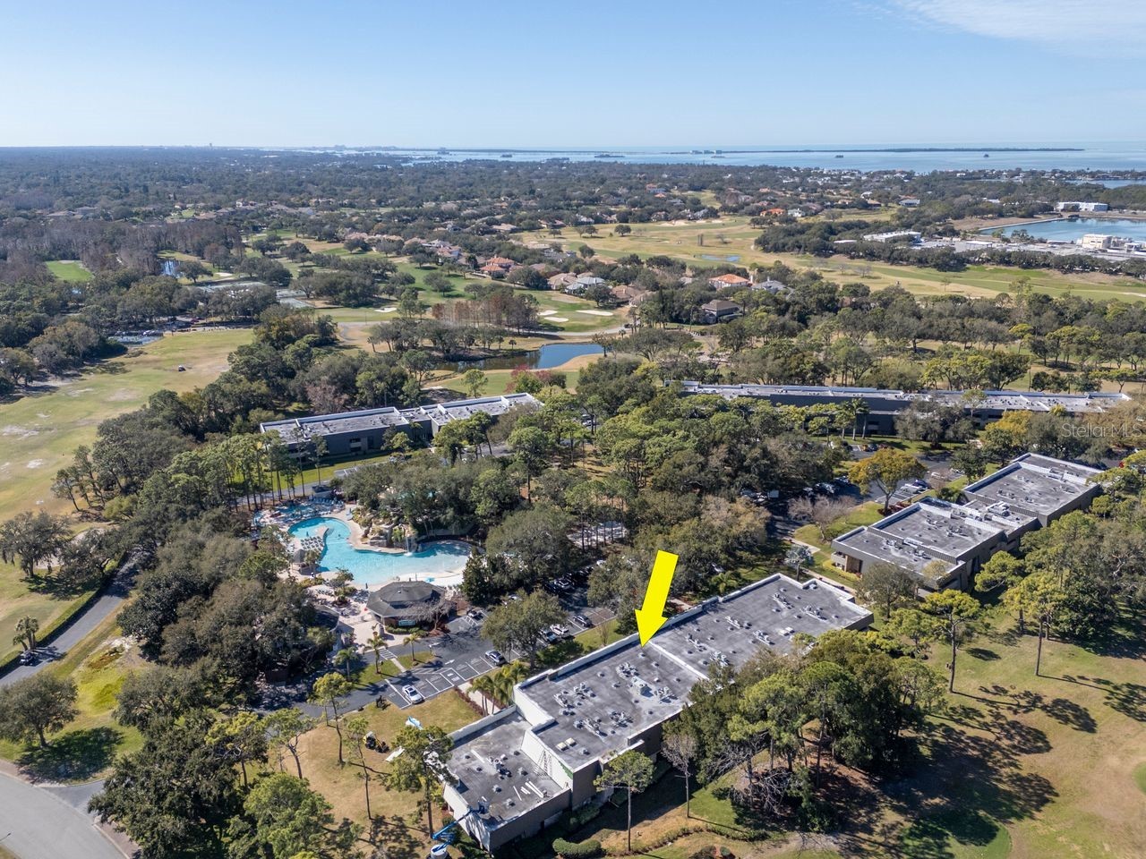 36750 Us Highway 19 N #7-110 Palm Harbor FL 34683 TB8474626 image70