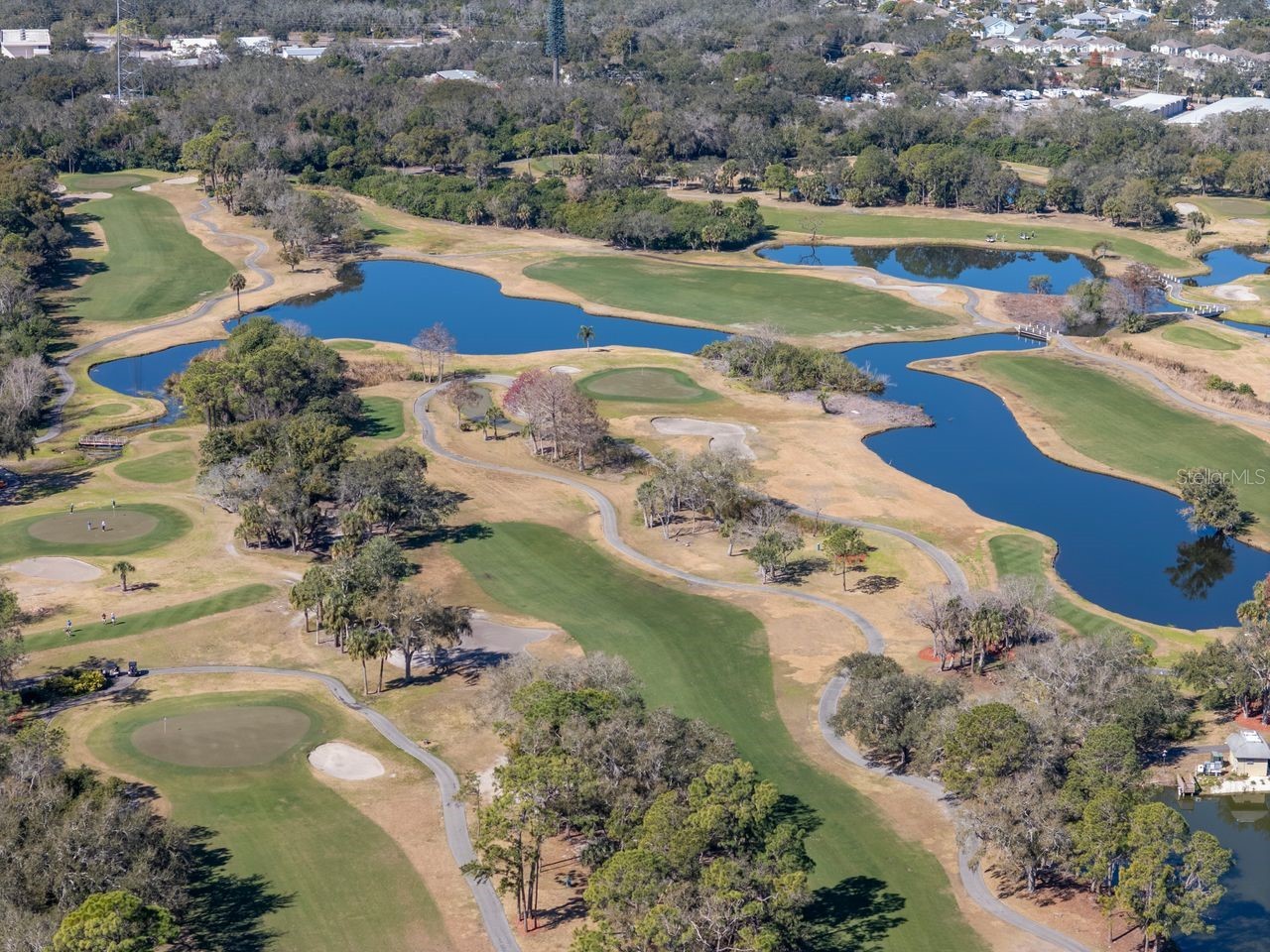 36750 Us Highway 19 N #7-110 Palm Harbor FL 34683 TB8474626 image75