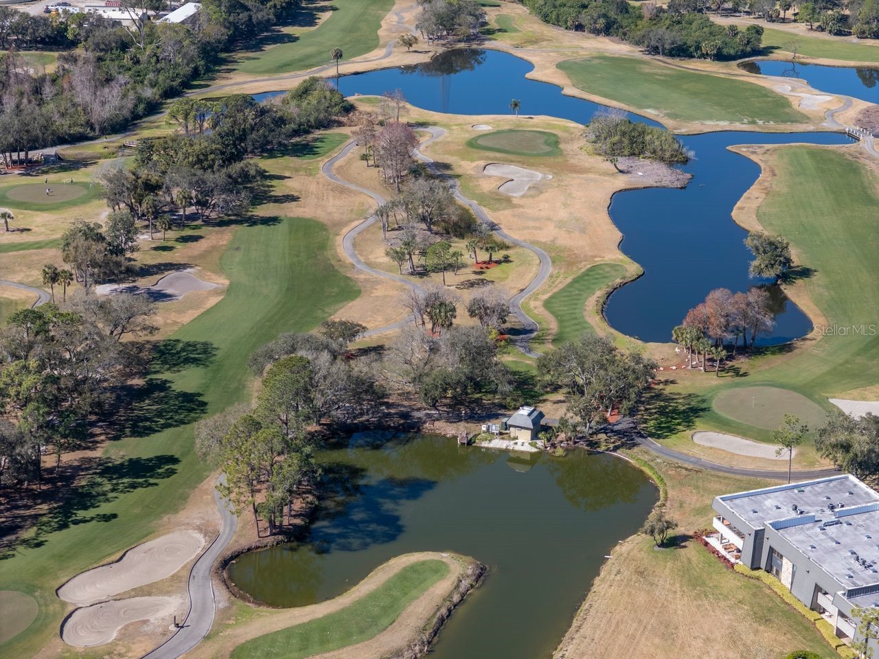 36750 Us Highway 19 N #7-110 Palm Harbor FL 34683 TB8474626 image76