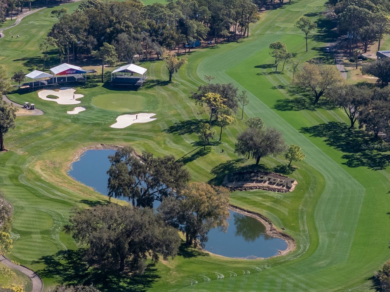 36750 Us Highway 19 N #7-110 Palm Harbor FL 34683 TB8474626 image77