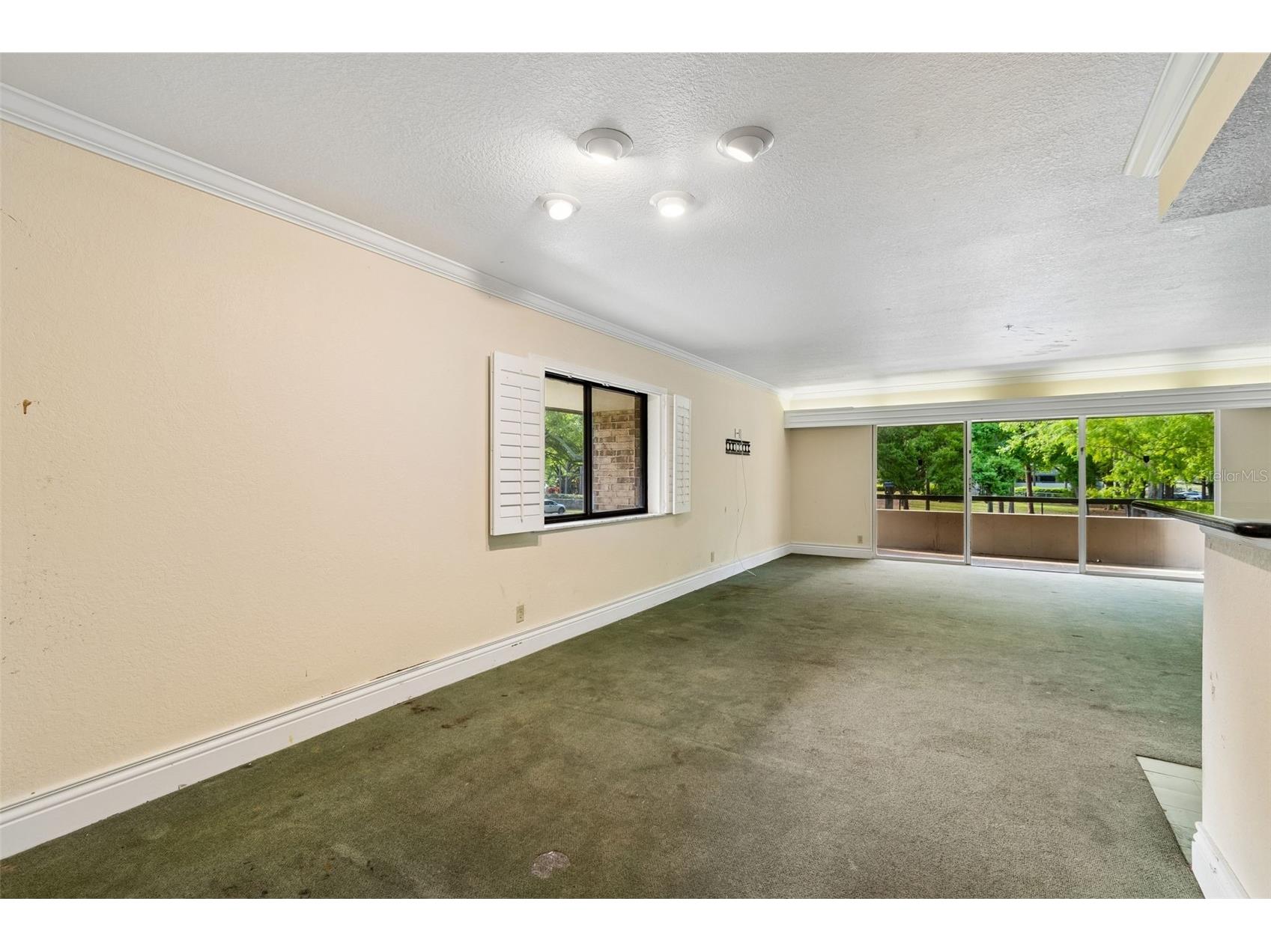 36750 Us Highway 19 N #8-202 Palm Harbor FL 34684 TB8491561 image11
