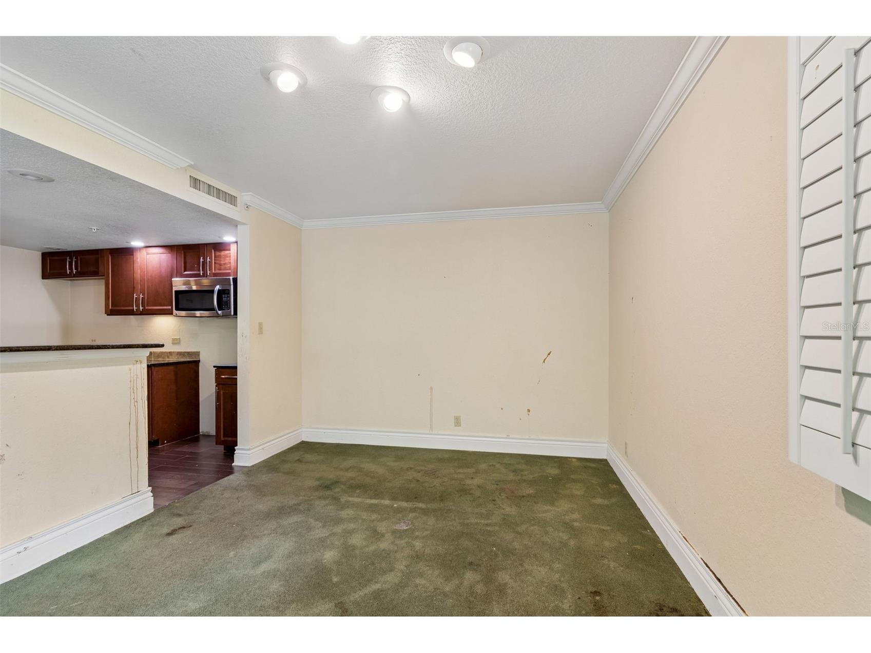 36750 Us Highway 19 N #8-202 Palm Harbor FL 34684 TB8491561 image13