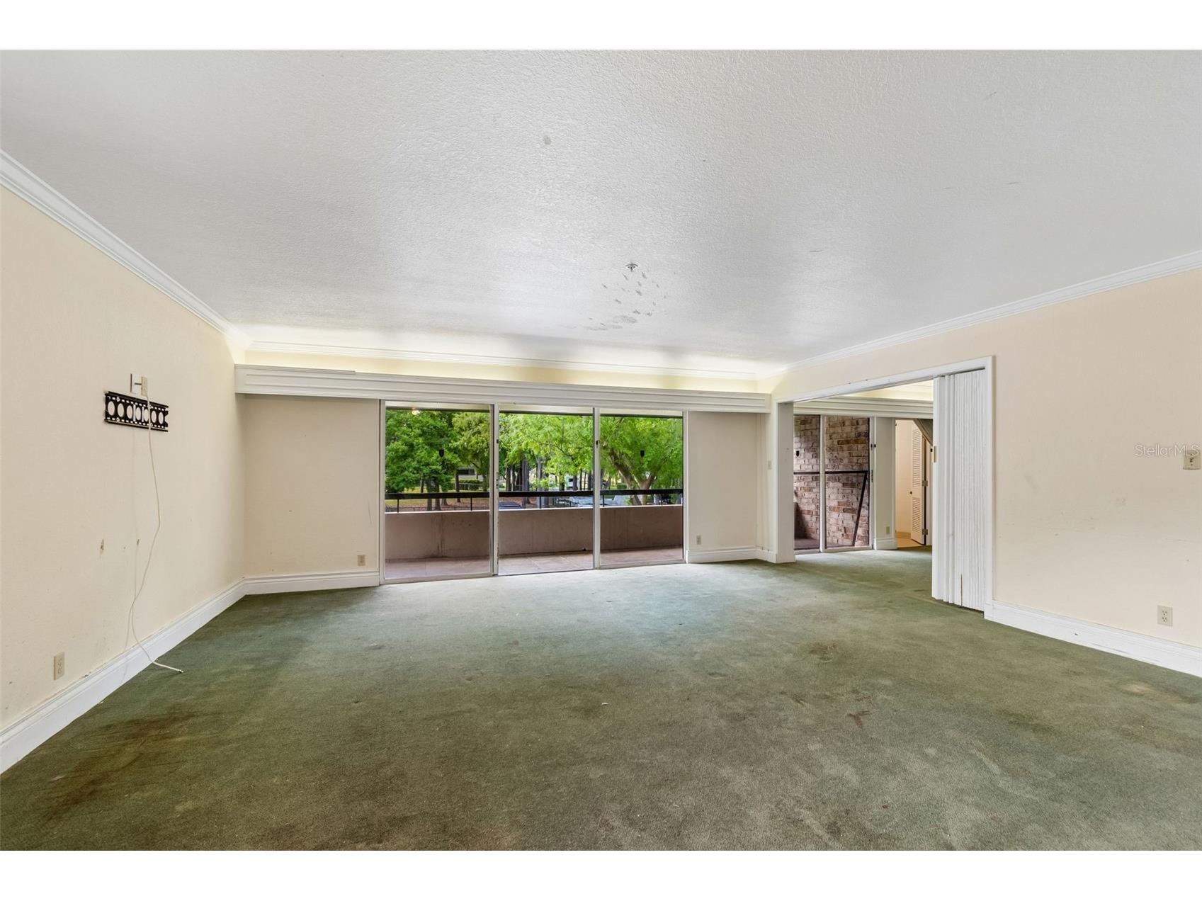 36750 Us Highway 19 N #8-202 Palm Harbor FL 34684 TB8491561 image15