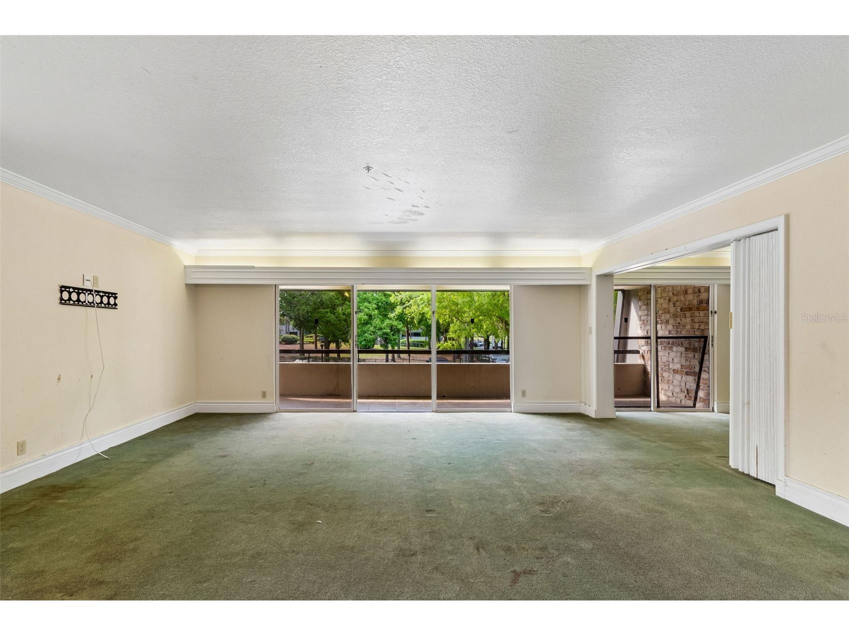 36750 Us Highway 19 N #8-202 Palm Harbor FL 34684 TB8491561 image16