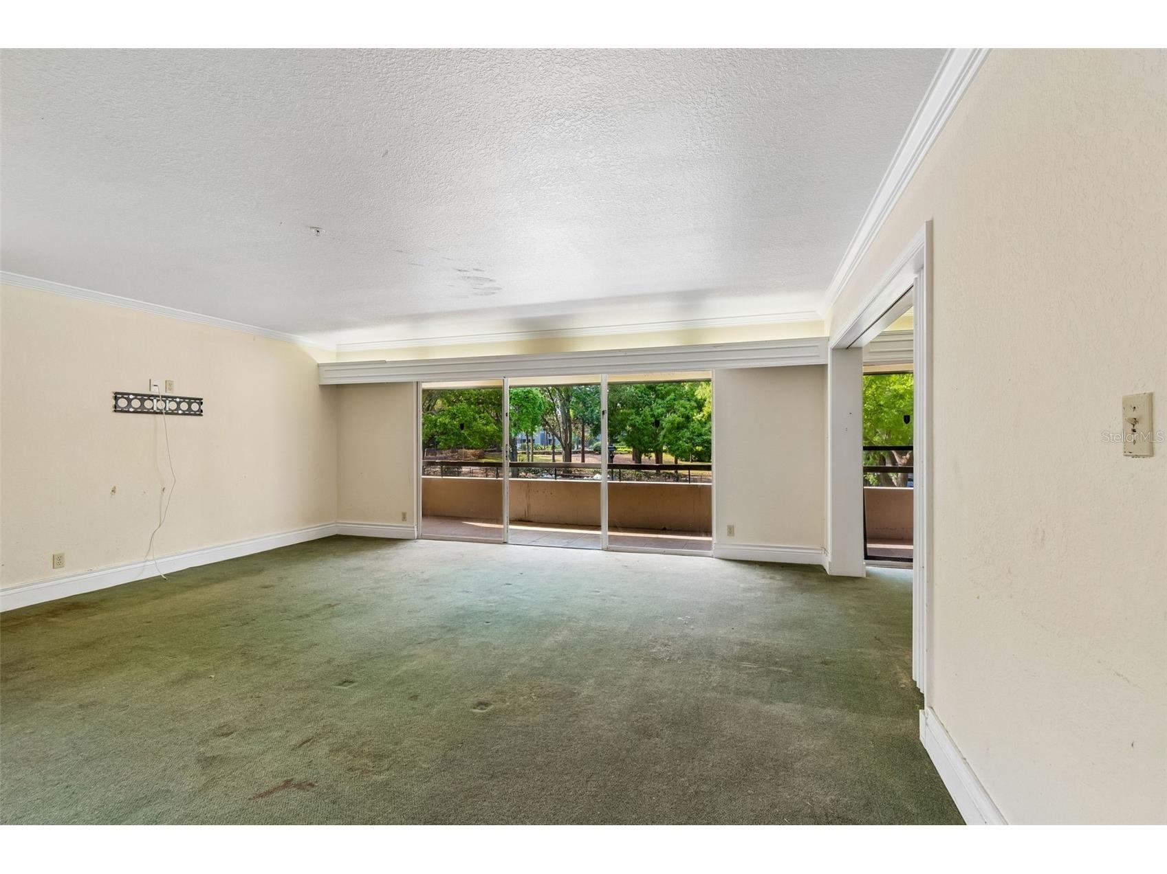 36750 Us Highway 19 N #8-202 Palm Harbor FL 34684 TB8491561 image17