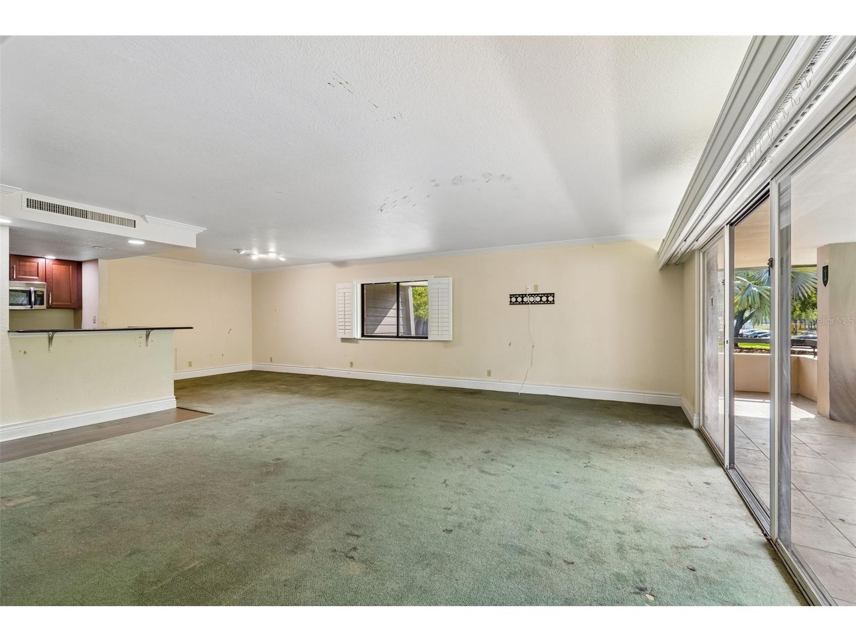 36750 Us Highway 19 N #8-202 Palm Harbor FL 34684 TB8491561 image18