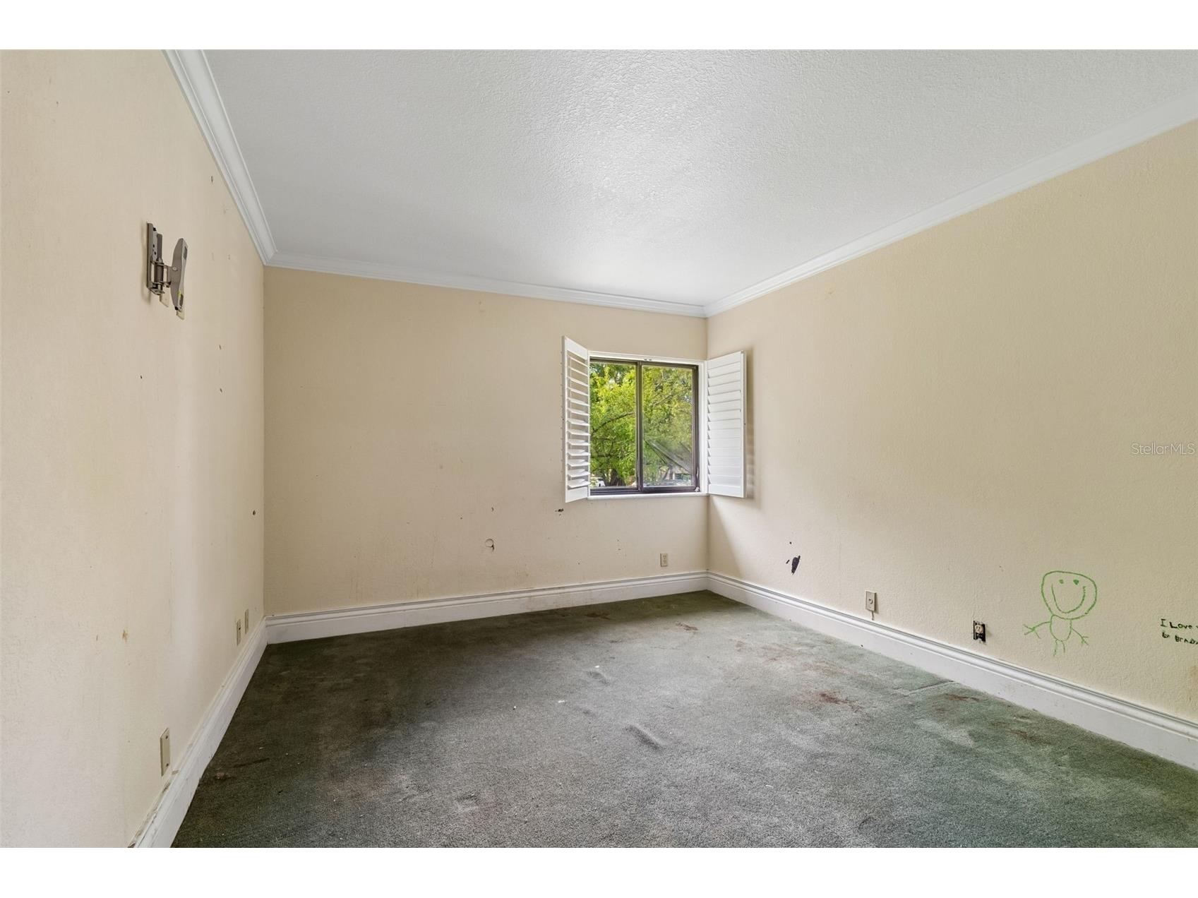 36750 Us Highway 19 N #8-202 Palm Harbor FL 34684 TB8491561 image26