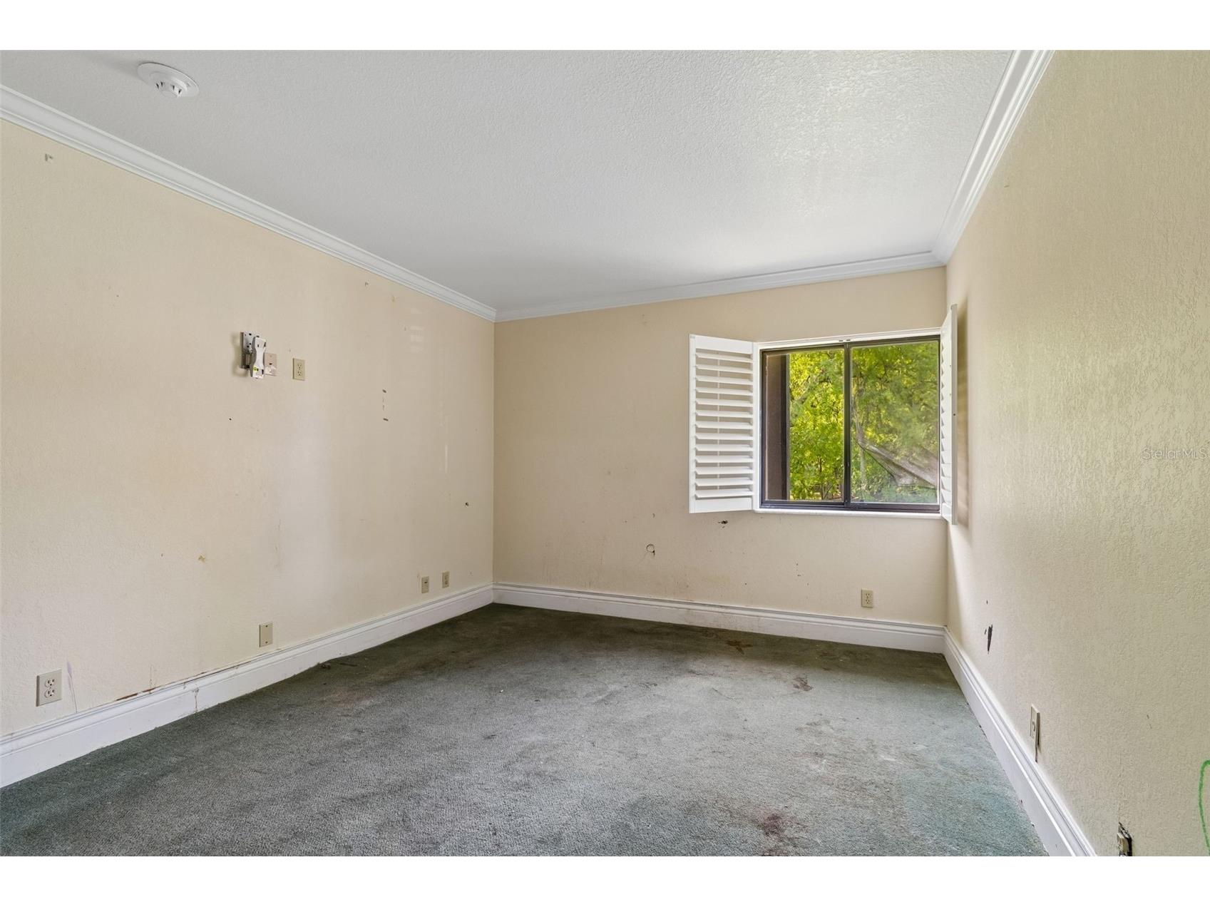 36750 Us Highway 19 N #8-202 Palm Harbor FL 34684 TB8491561 image27