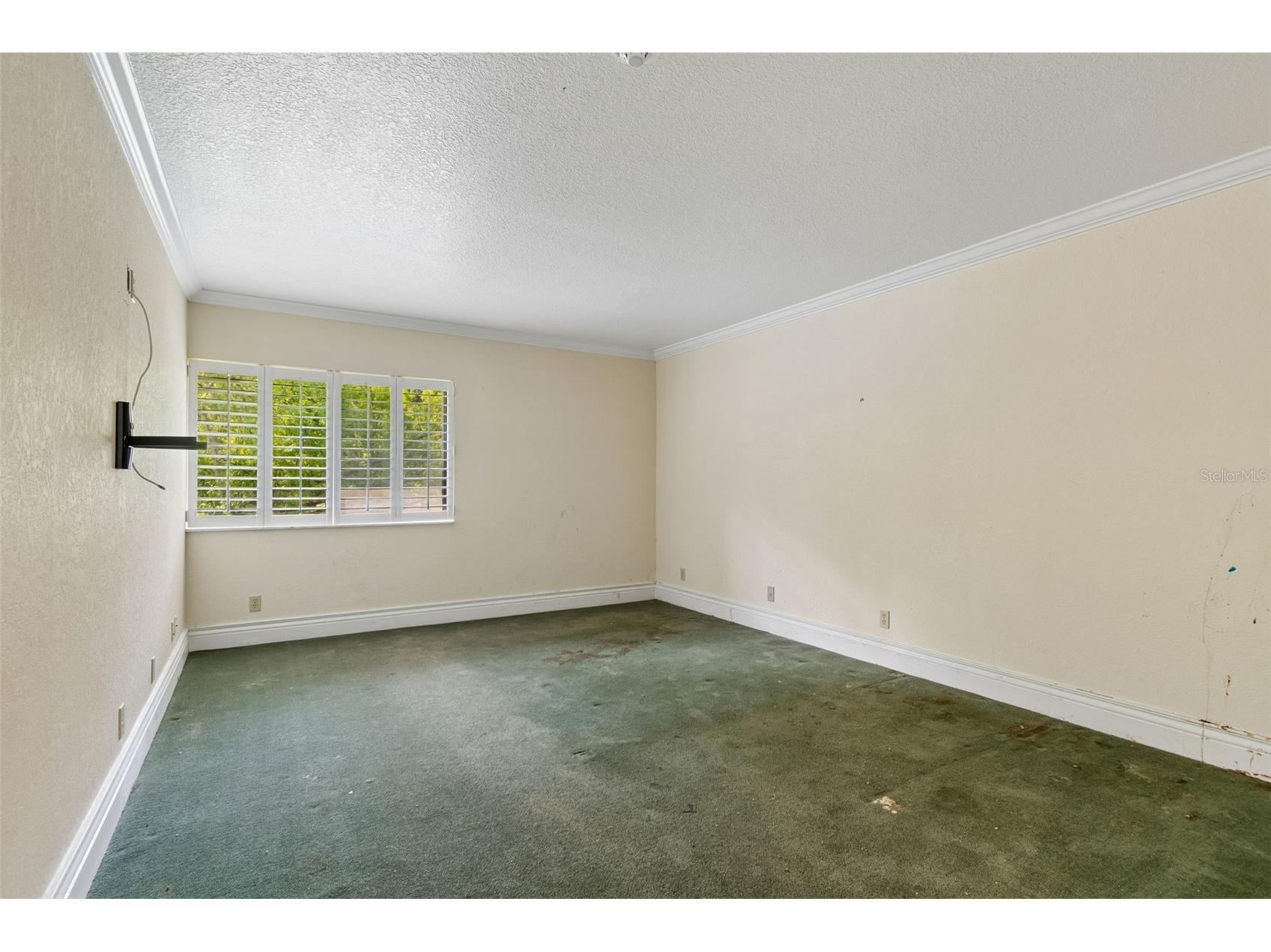 36750 Us Highway 19 N #8-202 Palm Harbor FL 34684 TB8491561 image34