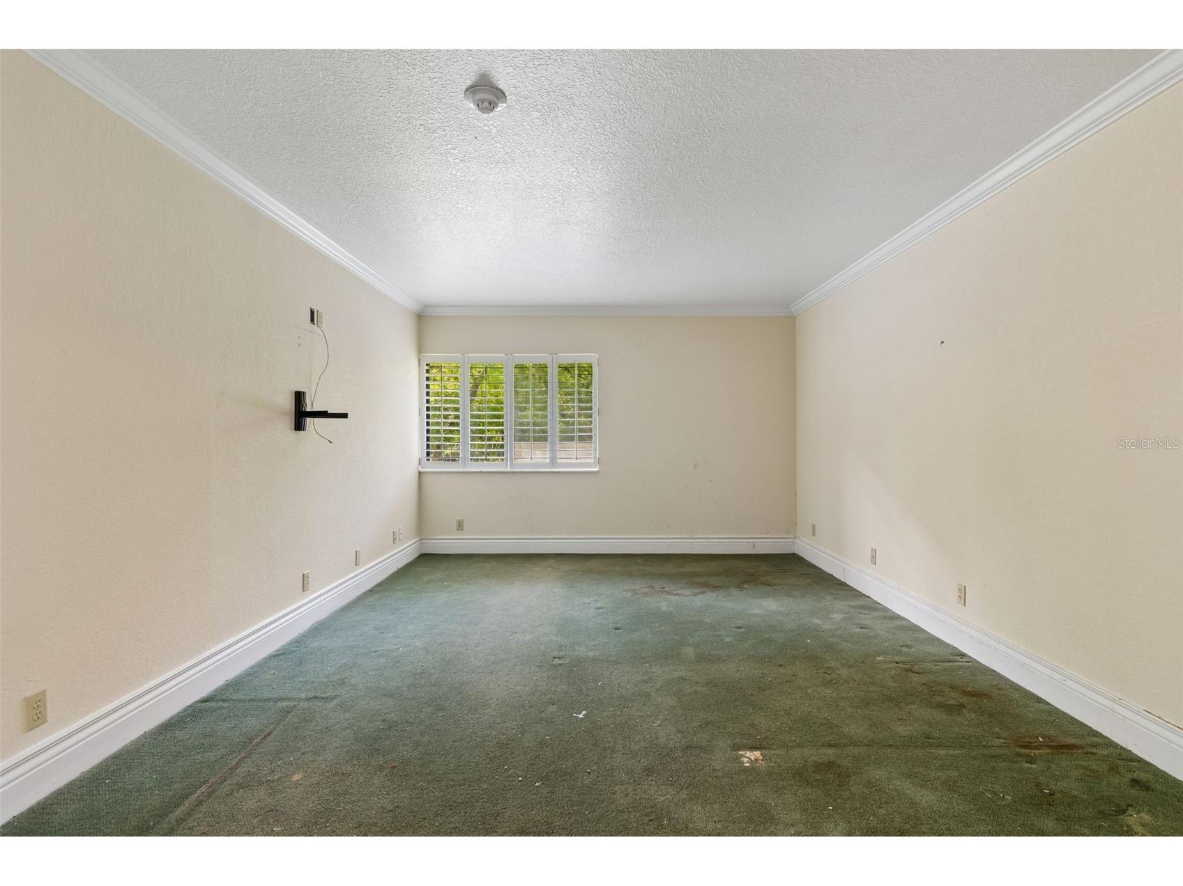 36750 Us Highway 19 N #8-202 Palm Harbor FL 34684 TB8491561 image35