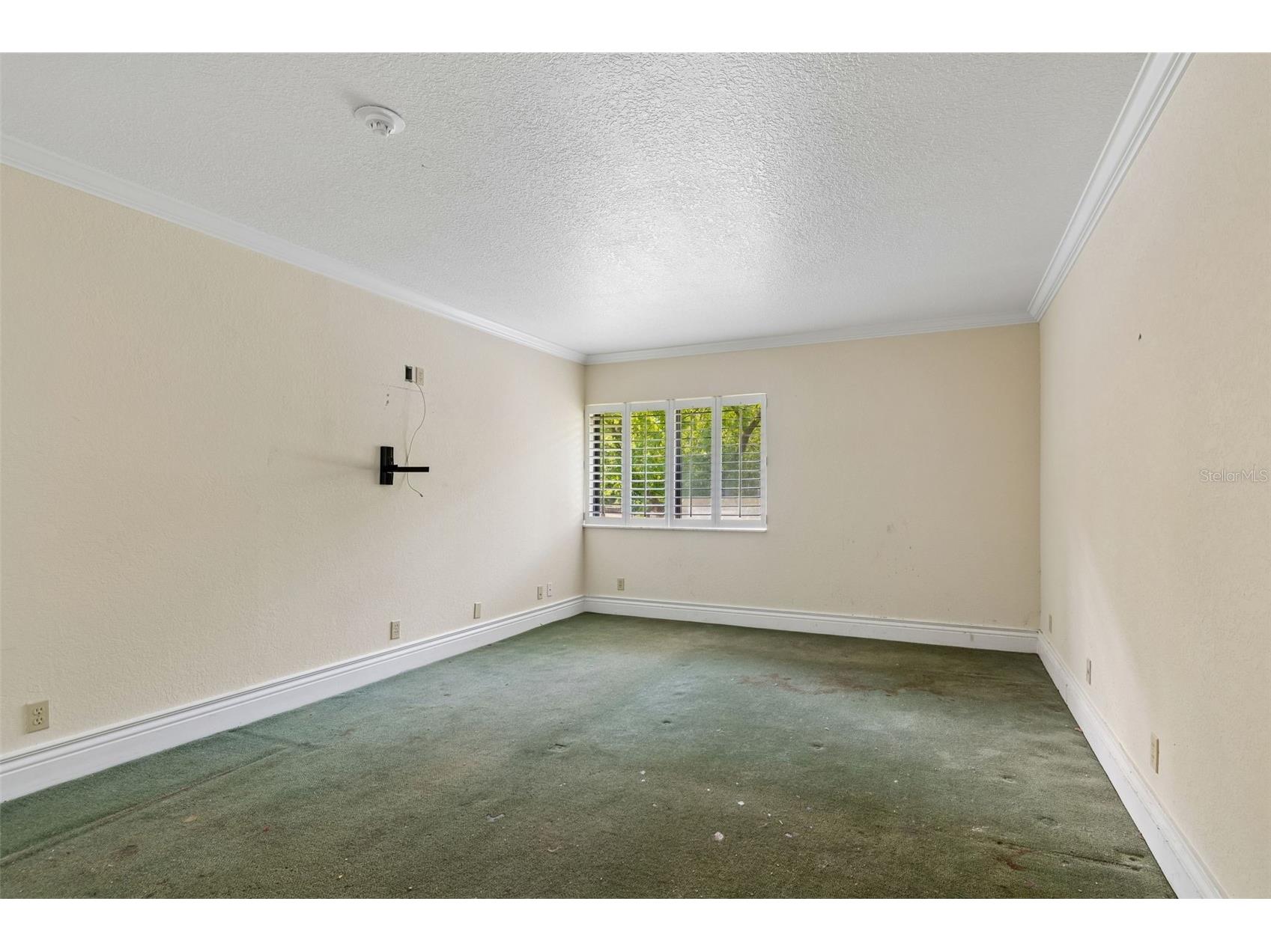 36750 Us Highway 19 N #8-202 Palm Harbor FL 34684 TB8491561 image36