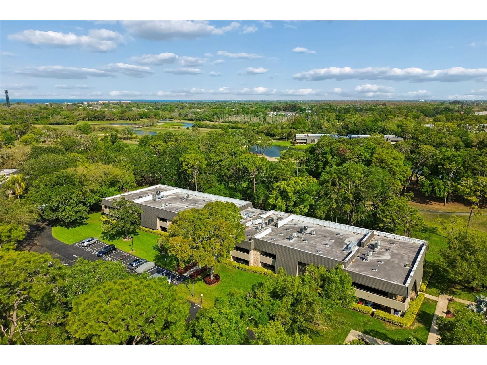 36750 Us Highway 19 N #8-202 Palm Harbor FL 34684 TB8491561 image49