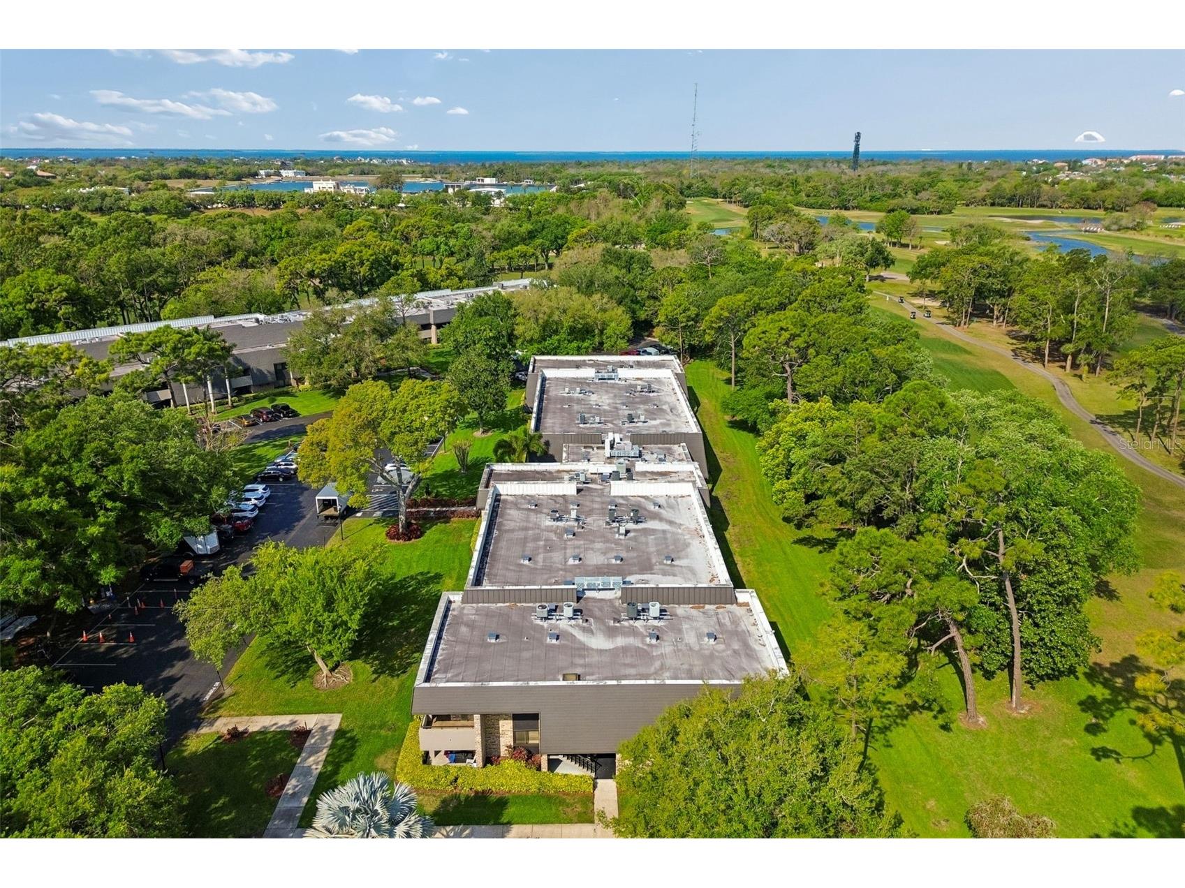 36750 Us Highway 19 N #8-202 Palm Harbor FL 34684 TB8491561 image50