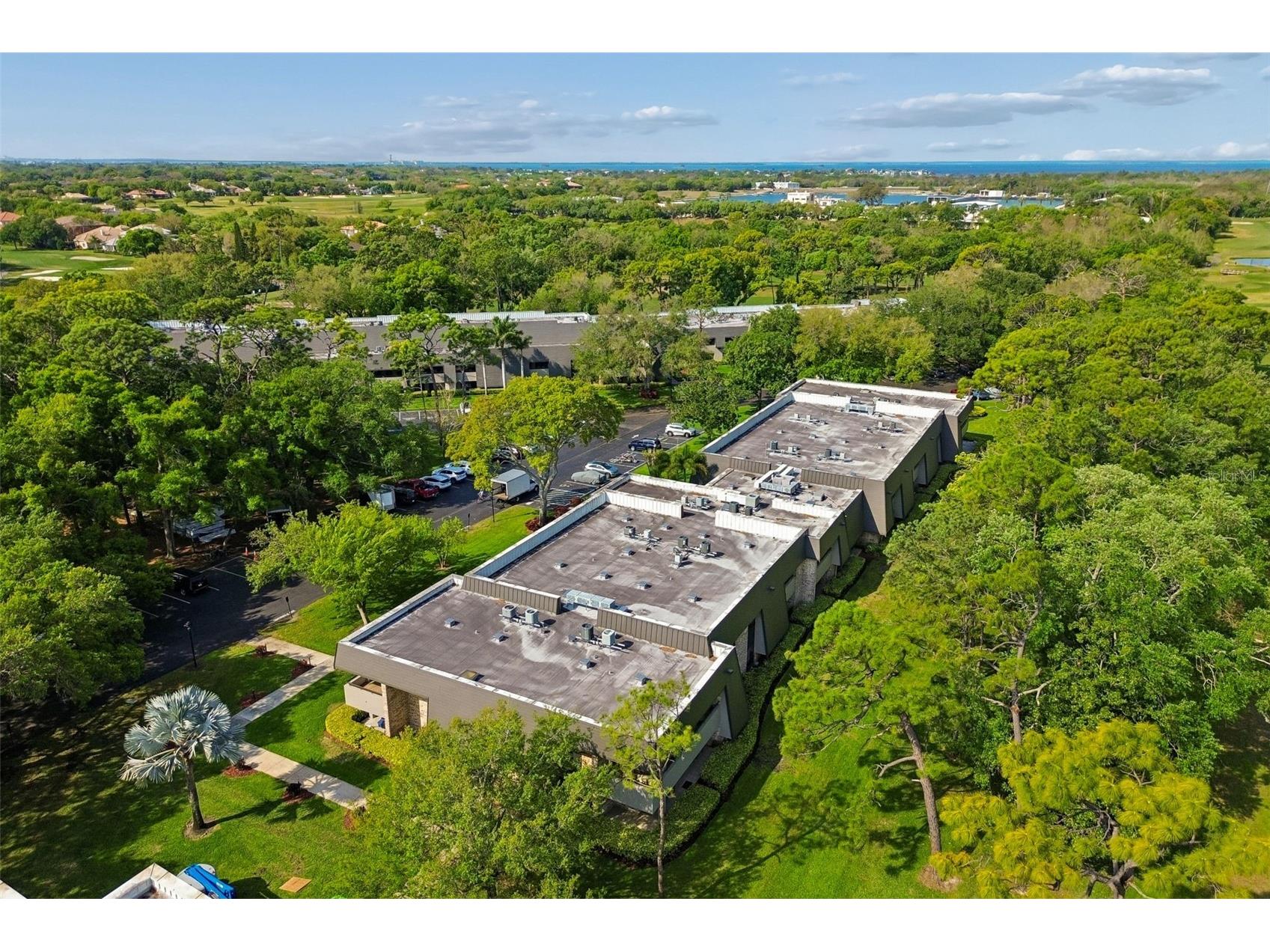 36750 Us Highway 19 N #8-202 Palm Harbor FL 34684 TB8491561 image51