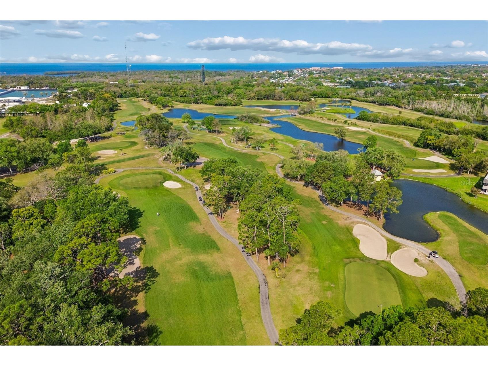 36750 Us Highway 19 N #8-202 Palm Harbor FL 34684 TB8491561 image52