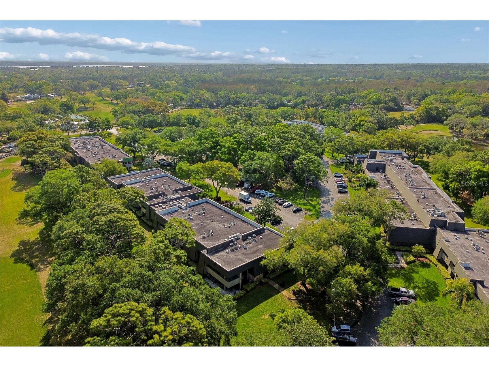 36750 Us Highway 19 N #8-202 Palm Harbor FL 34684 TB8491561 image53