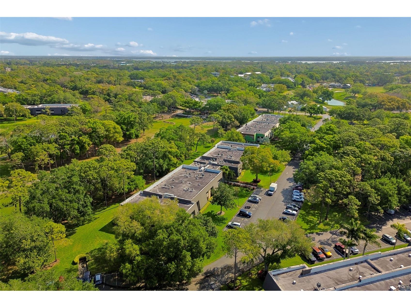 36750 Us Highway 19 N #8-202 Palm Harbor FL 34684 TB8491561 image54