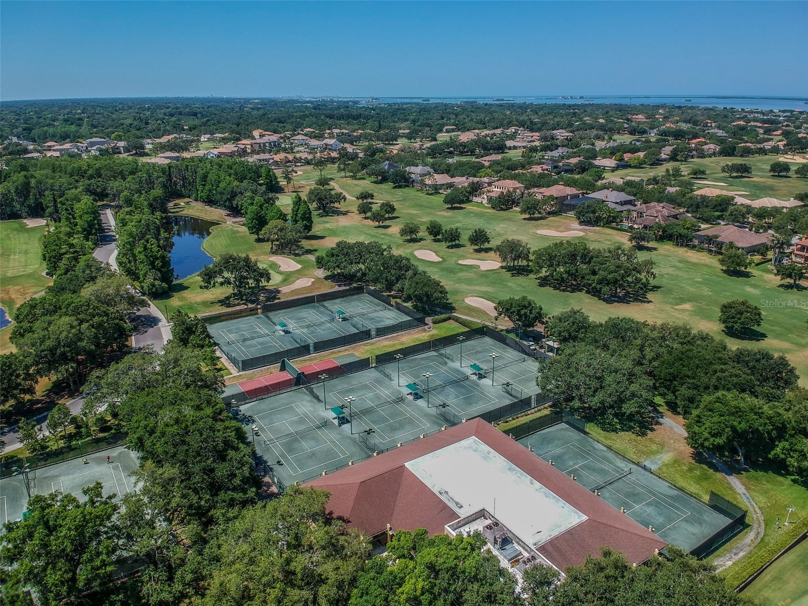 36750 Us Highway 19 N #8-202 Palm Harbor FL 34684 TB8491561 image59