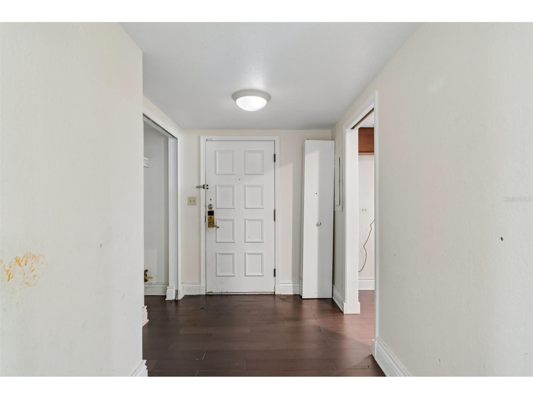 36750 Us Highway 19 N #8-202 Palm Harbor FL 34684 TB8491561 image6