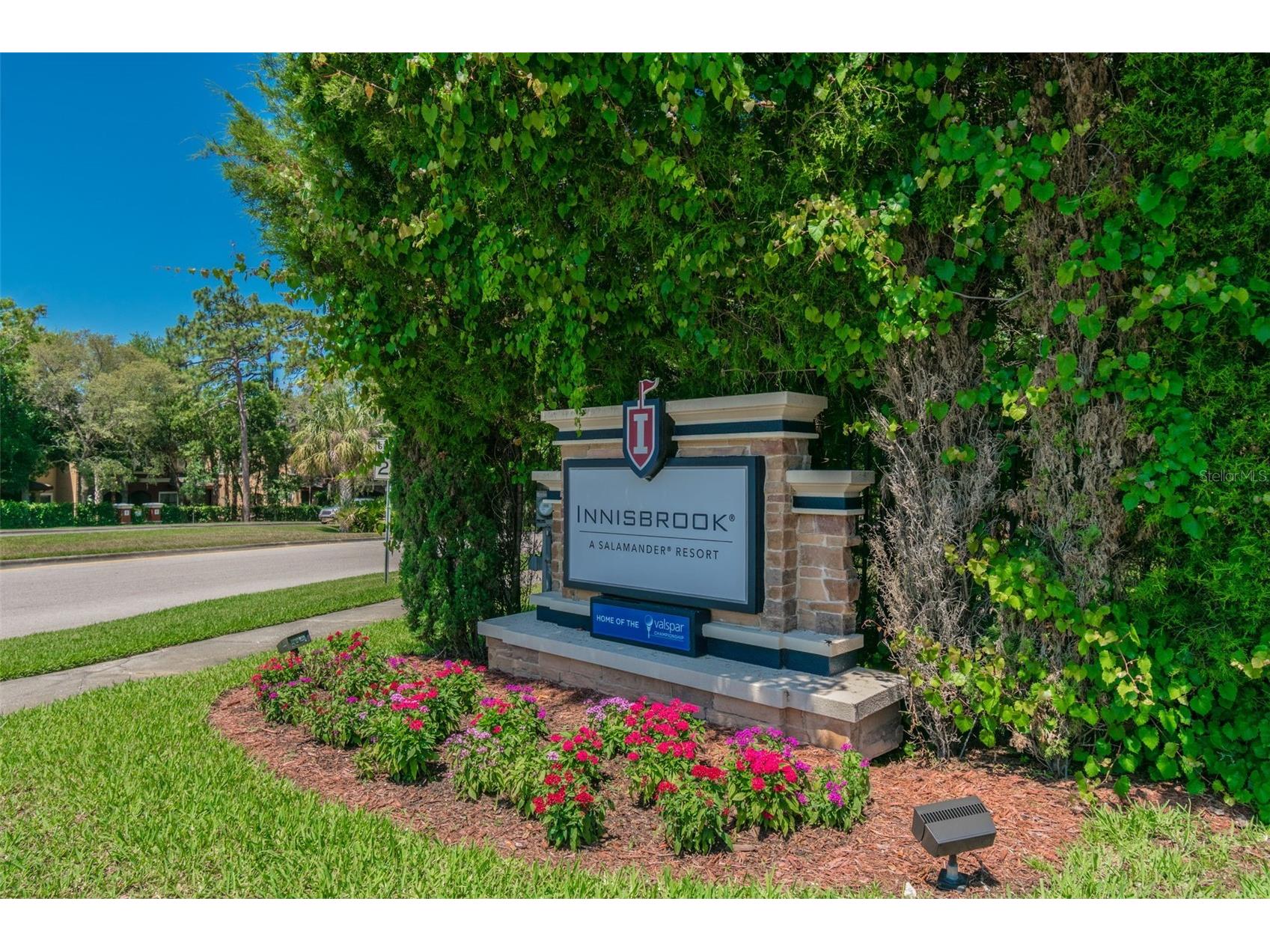 36750 Us Highway 19 N #8-202 Palm Harbor FL 34684 TB8491561 image60