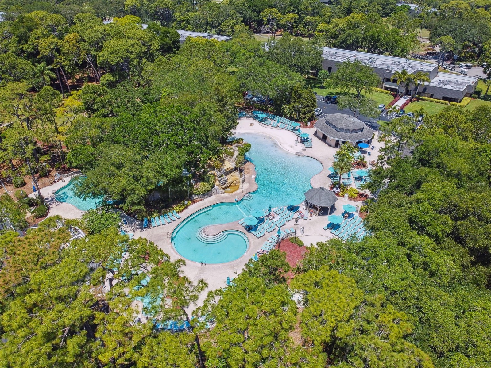 36750 Us Highway 19 N #8-202 Palm Harbor FL 34684 TB8491561 image64