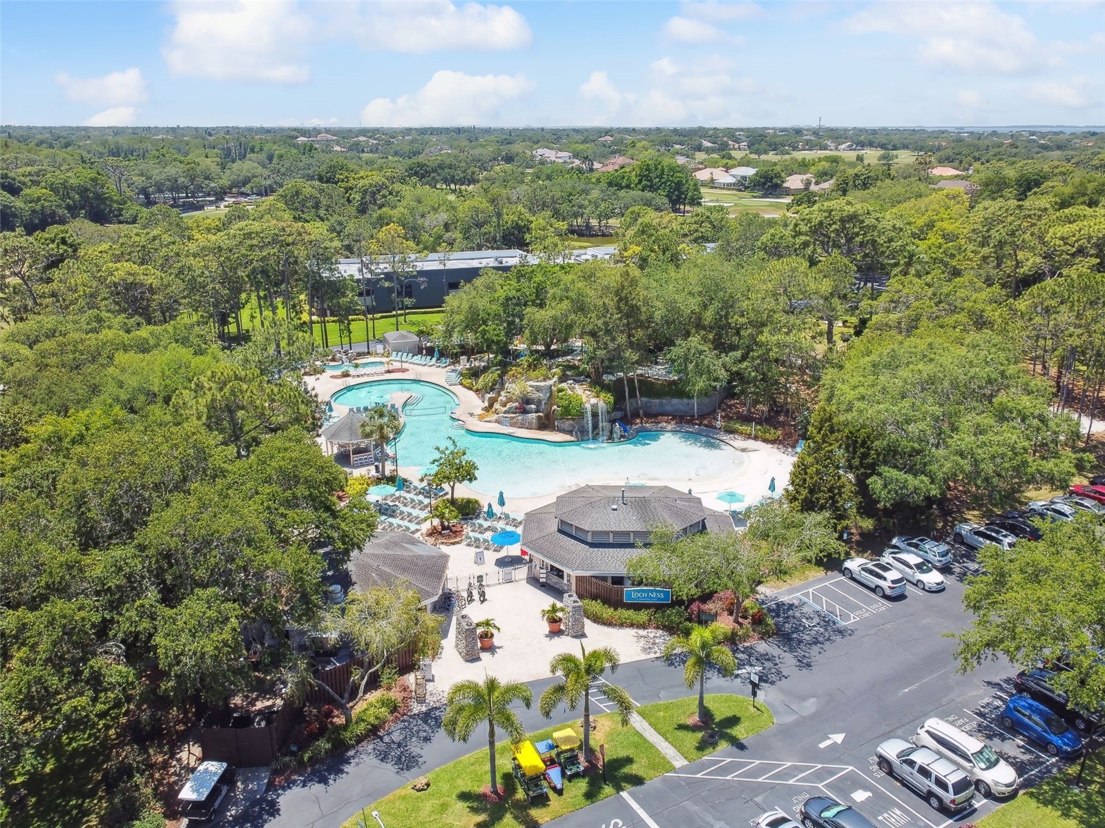 36750 Us Highway 19 N #8-202 Palm Harbor FL 34684 TB8491561 image65