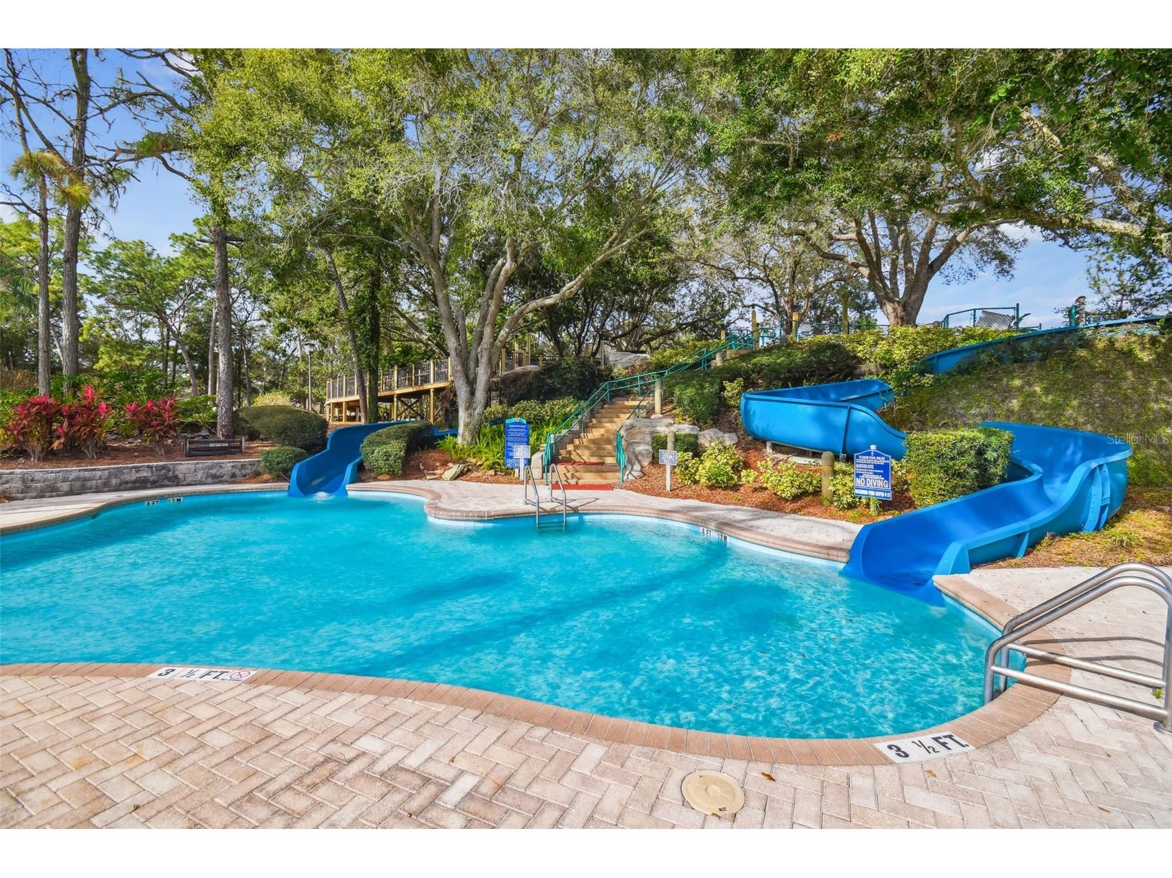 36750 Us Highway 19 N #8-202 Palm Harbor FL 34684 TB8491561 image67