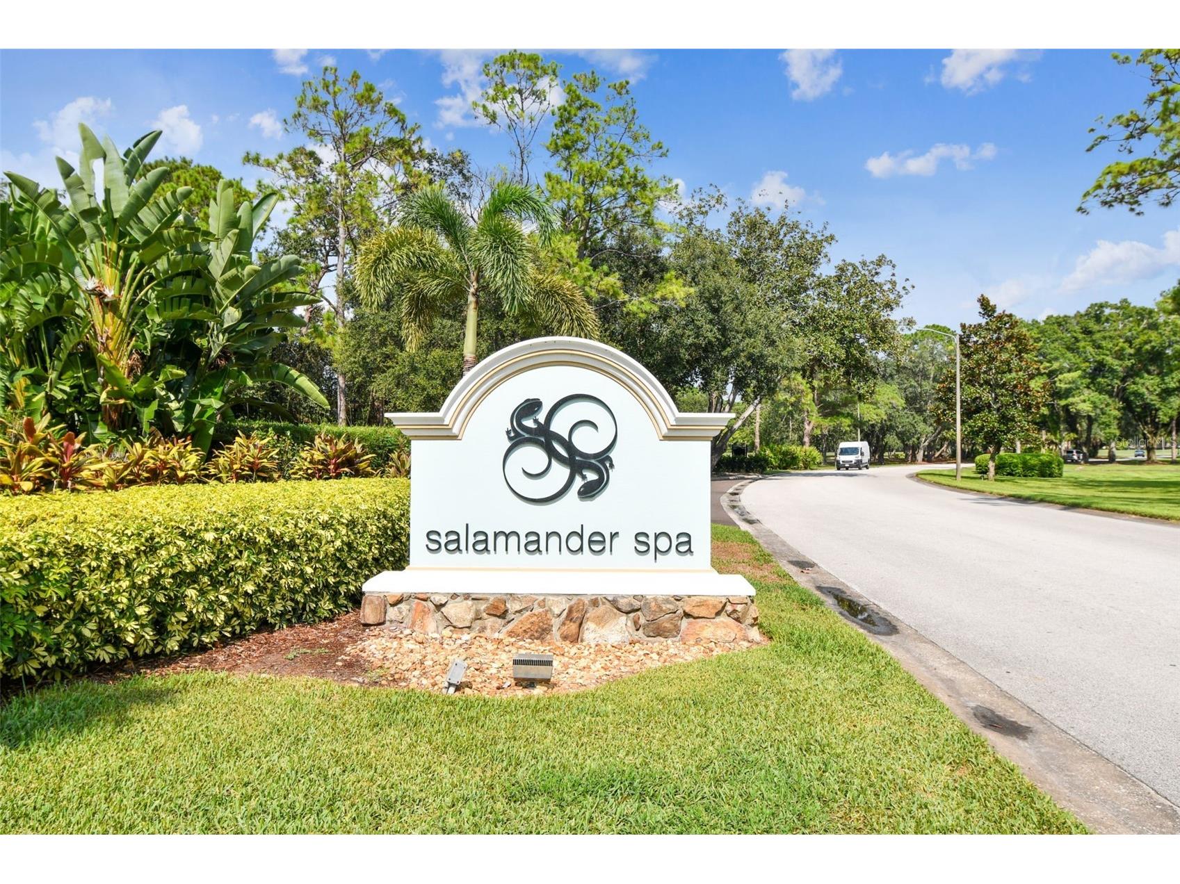 36750 Us Highway 19 N #8-202 Palm Harbor FL 34684 TB8491561 image81