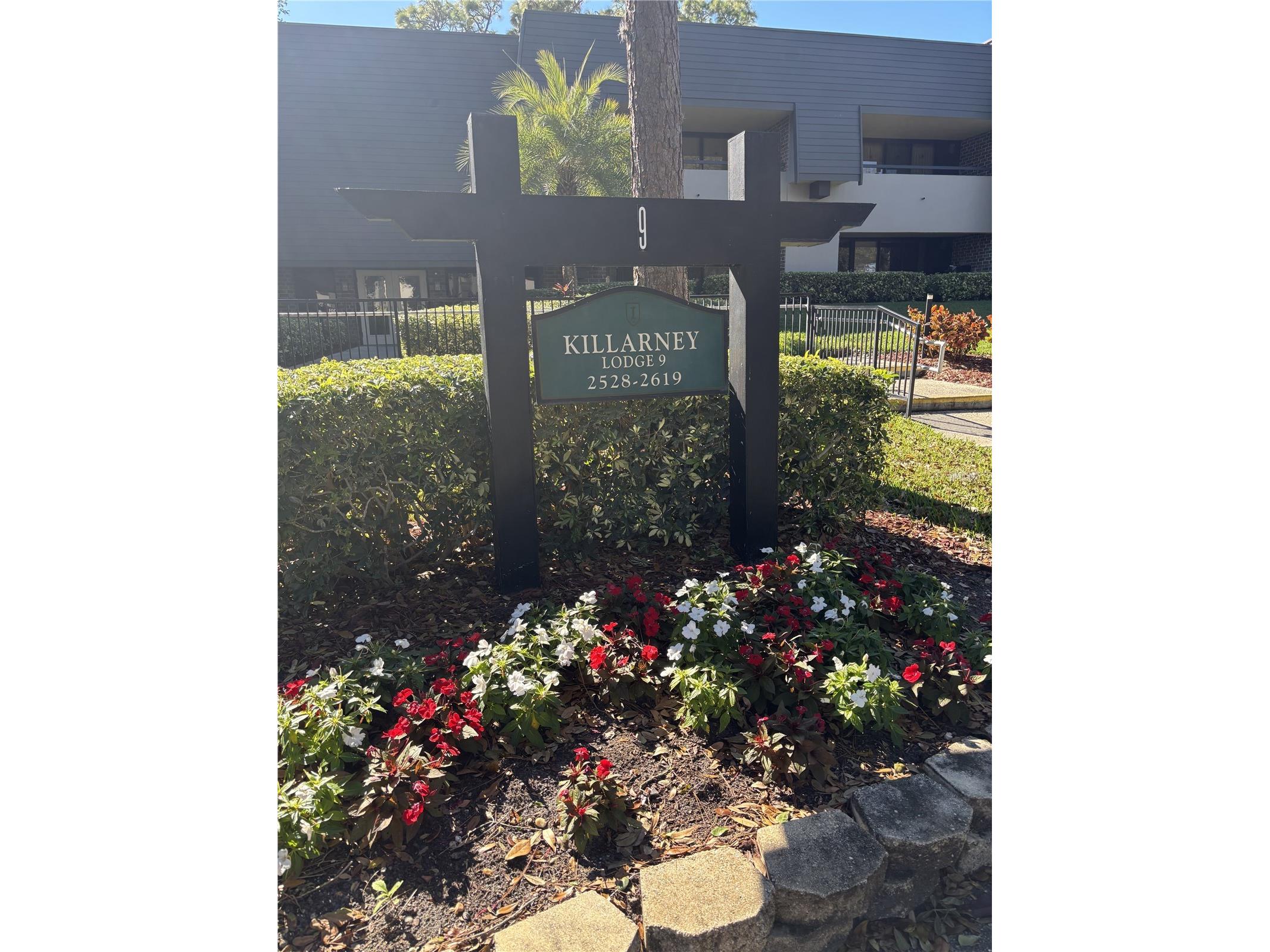 36750 Us Highway 19 N #9-123 Palm Harbor FL 34683 TB8476920 image1