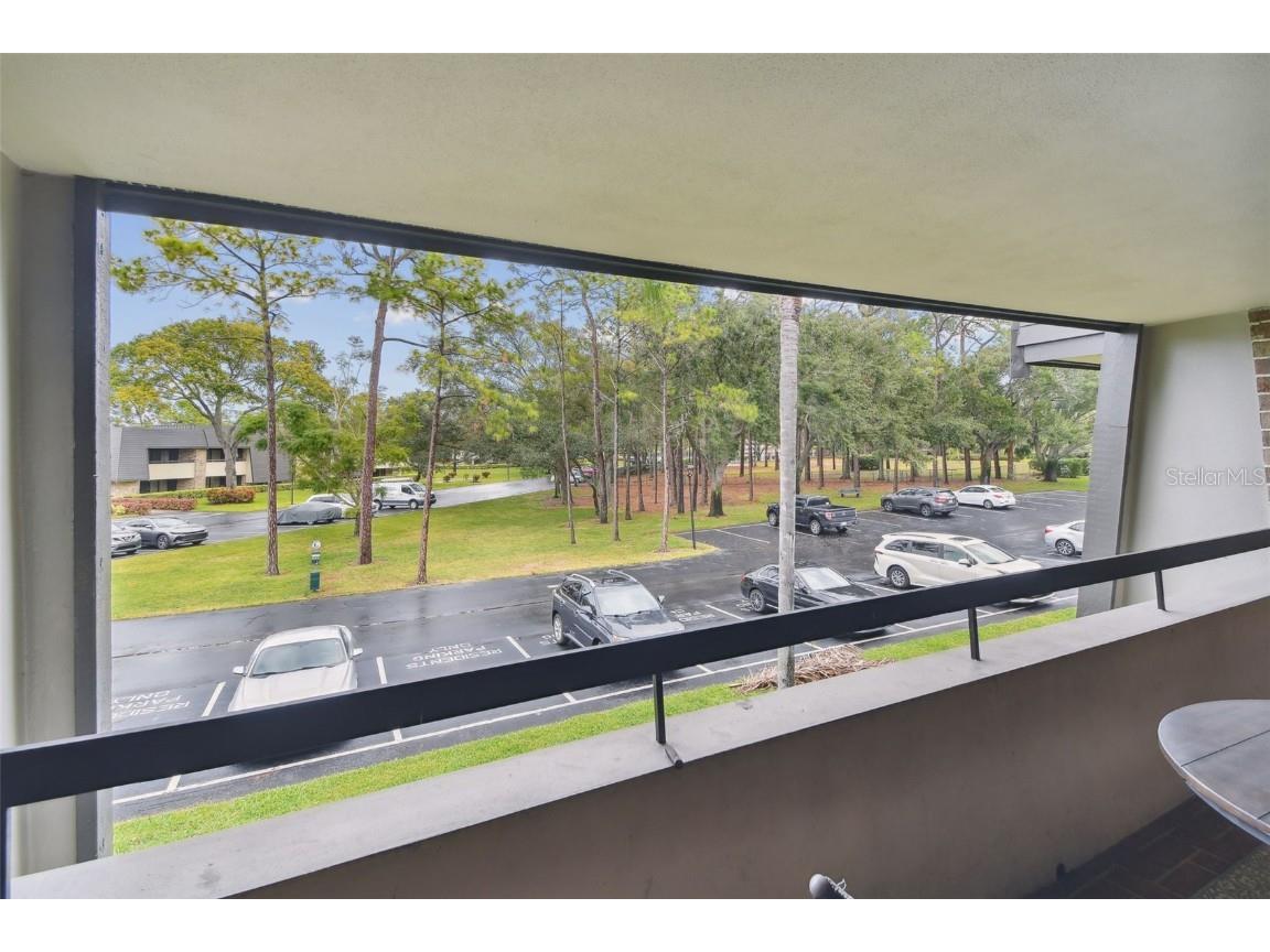 36750 Us Highway 19 N #9-208 Palm Harbor FL 34684 TB8451687 image19