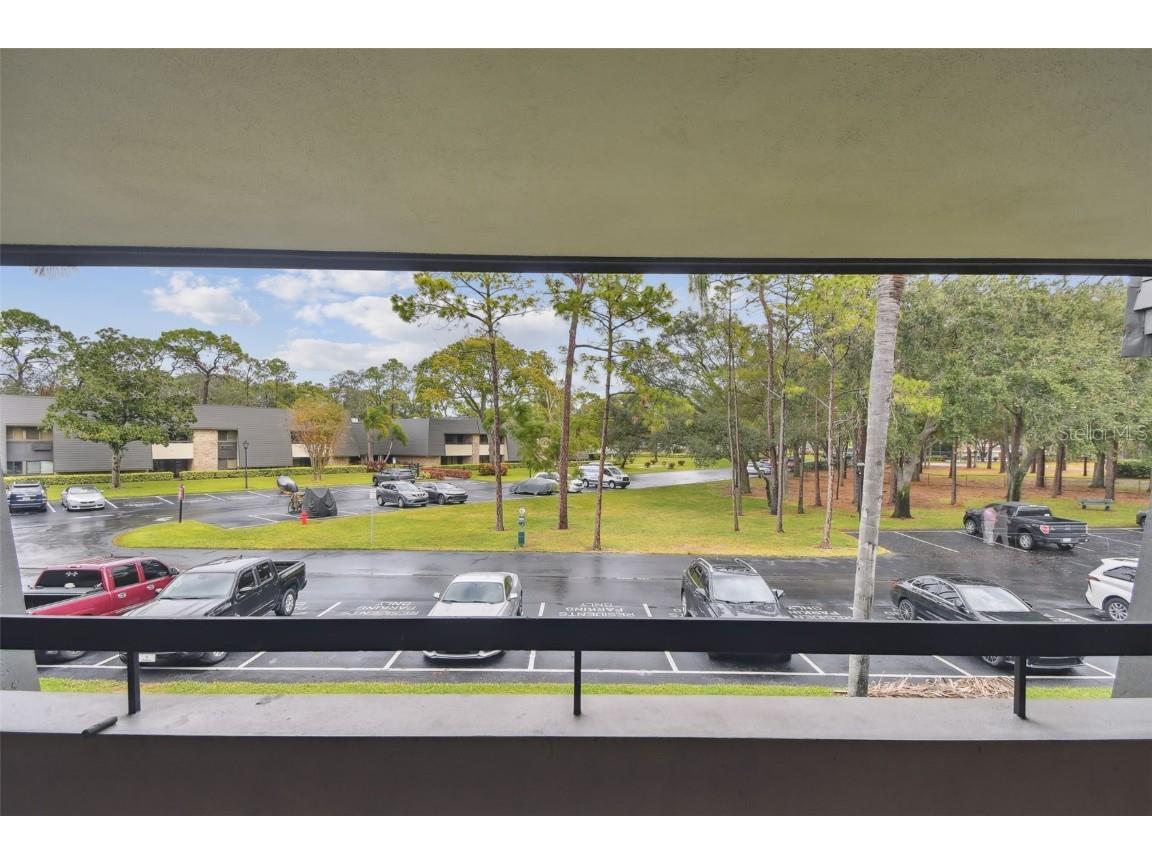 36750 Us Highway 19 N #9-208 Palm Harbor FL 34684 TB8451687 image20