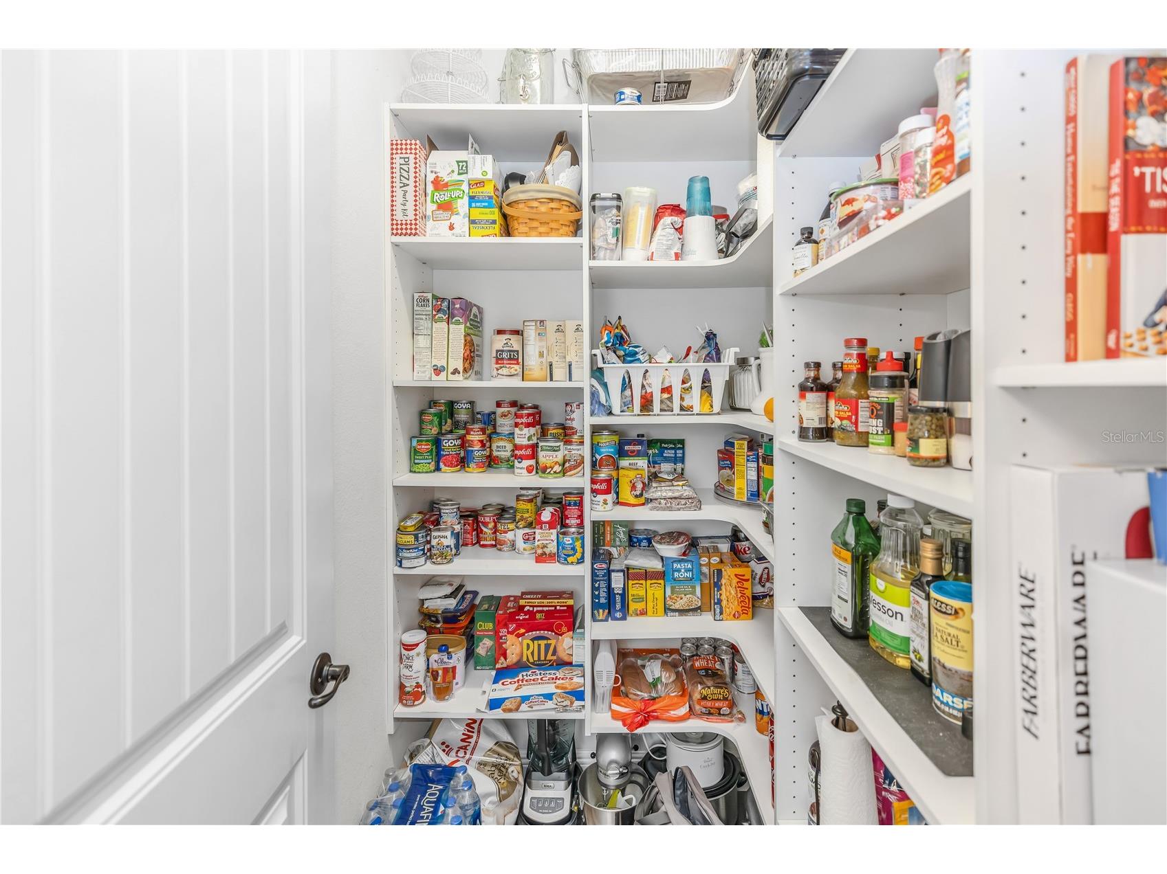 36751 Barrington Drive Eustis FL 32736 G5111835 image25