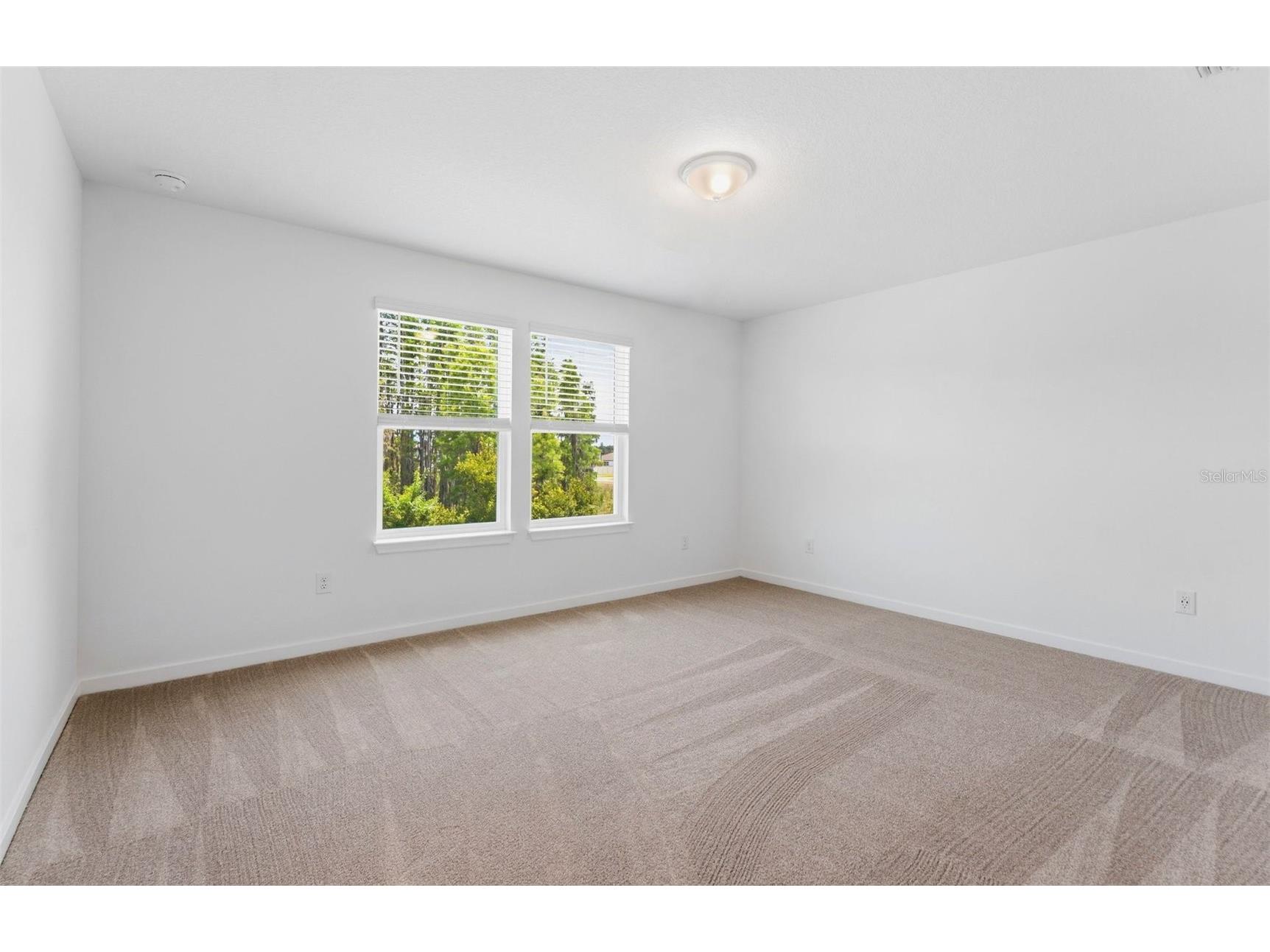 36757 Kistna Drive Zephyrhills FL 33540 TB8481248 image11