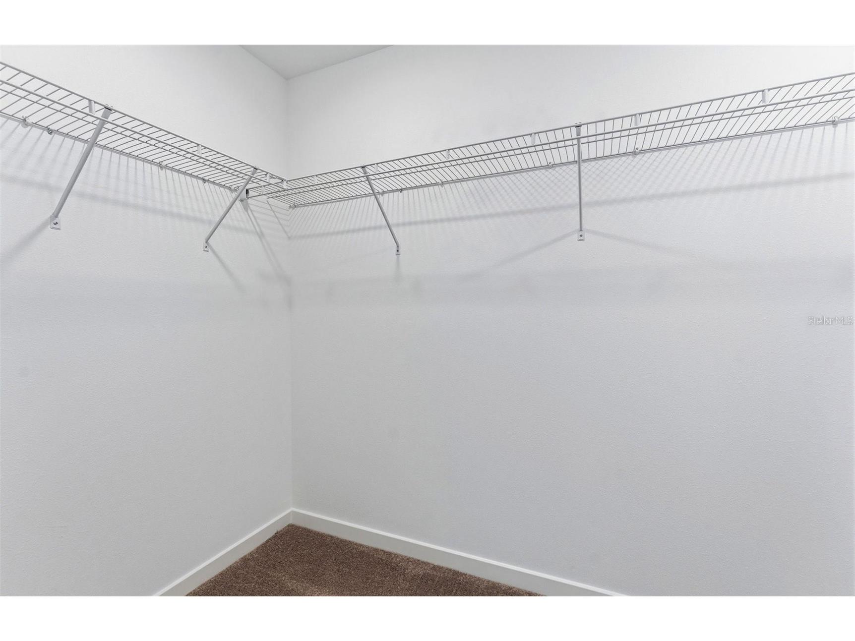 36757 Kistna Drive Zephyrhills FL 33540 TB8481248 image14