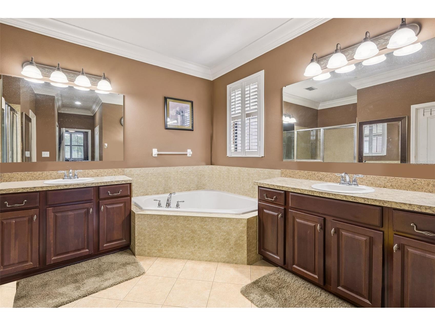 3676 Briar Run Drive Clermont FL 34711 O6406560 image14