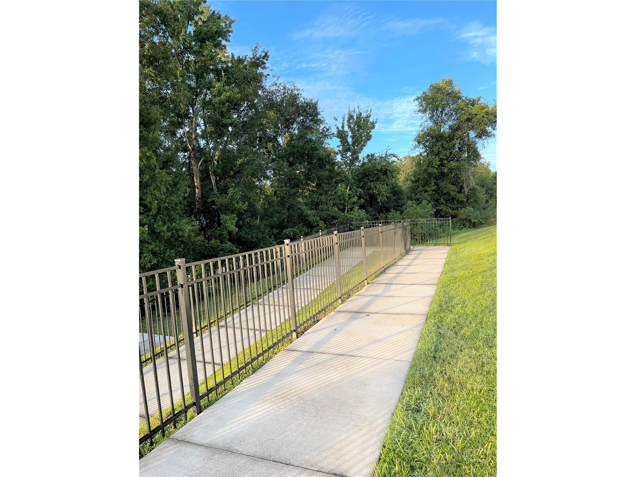 3676 Peregrine Way Lakeland FL 33811 L4959481 image48