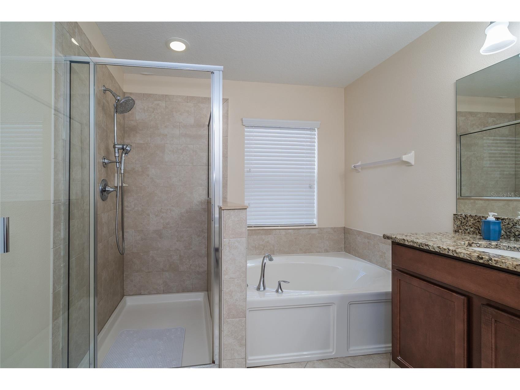 3676 Seven Seas Avenue Land O Lakes FL 34638 TB8461475 image18