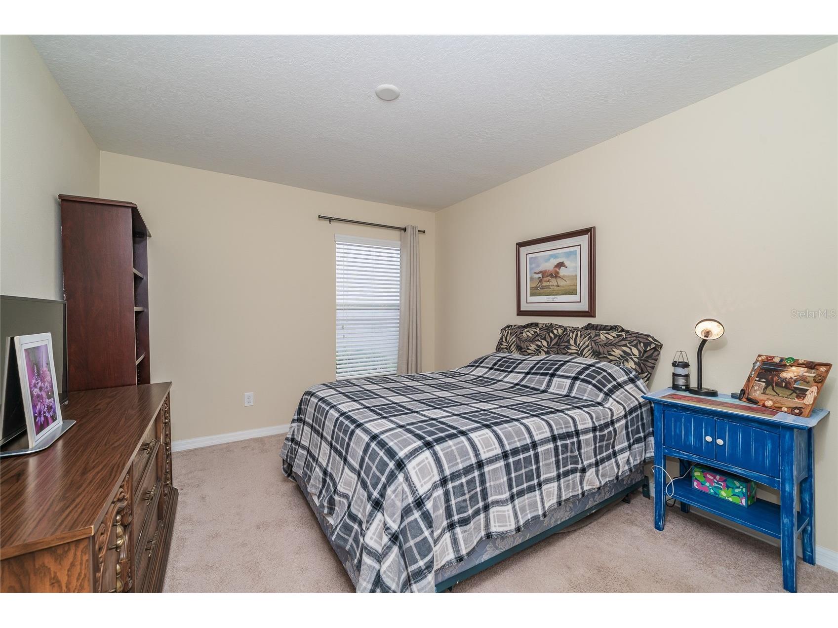 3676 Seven Seas Avenue Land O Lakes FL 34638 TB8461475 image21