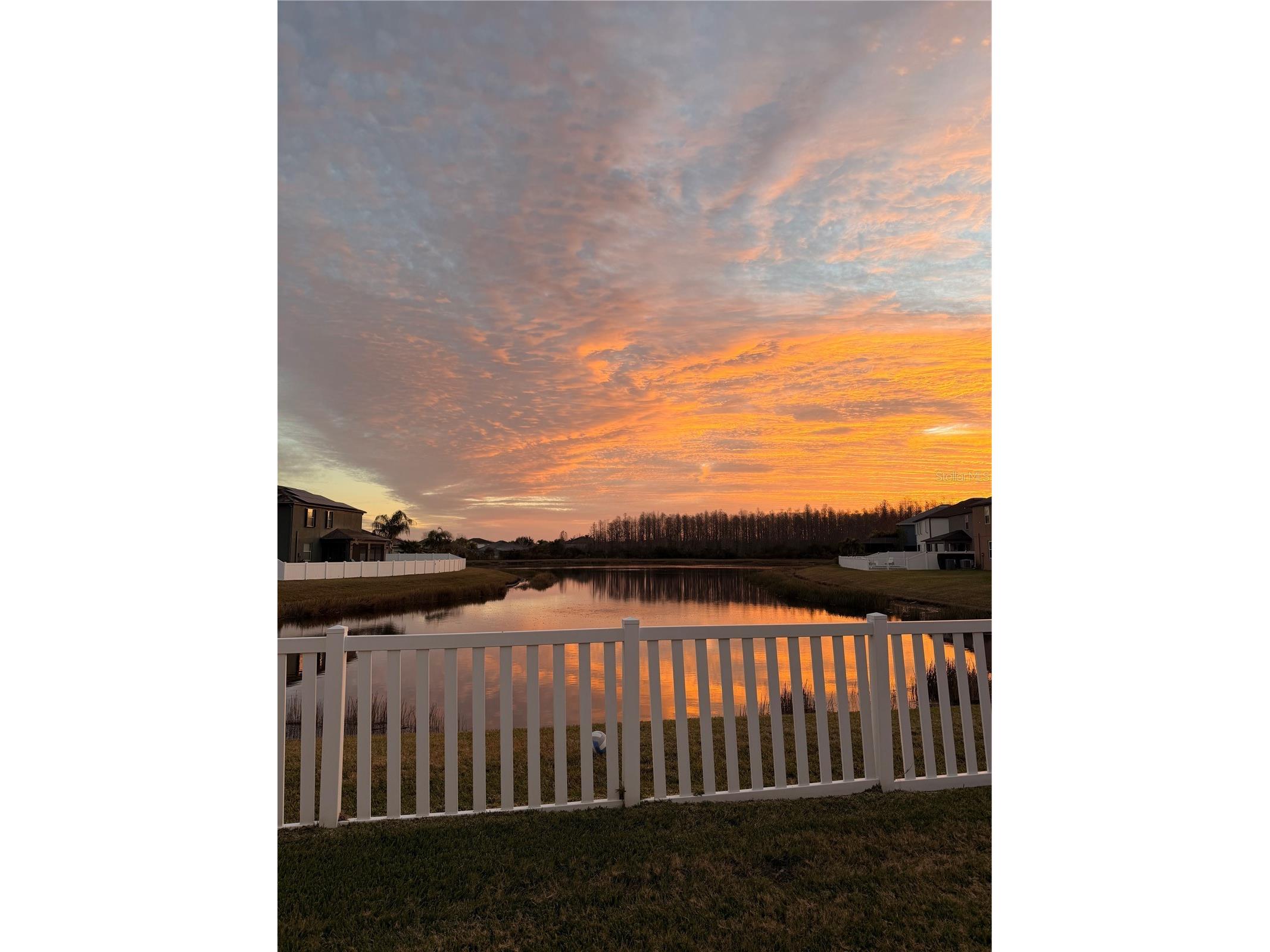 3676 Seven Seas Avenue Land O Lakes FL 34638 TB8461475 image30