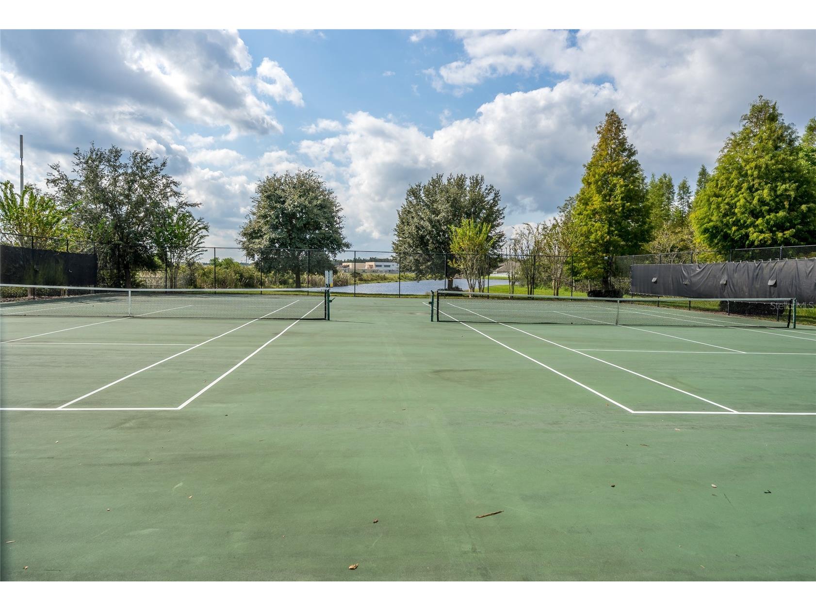 3676 Seven Seas Avenue Land O Lakes FL 34638 TB8461475 image49