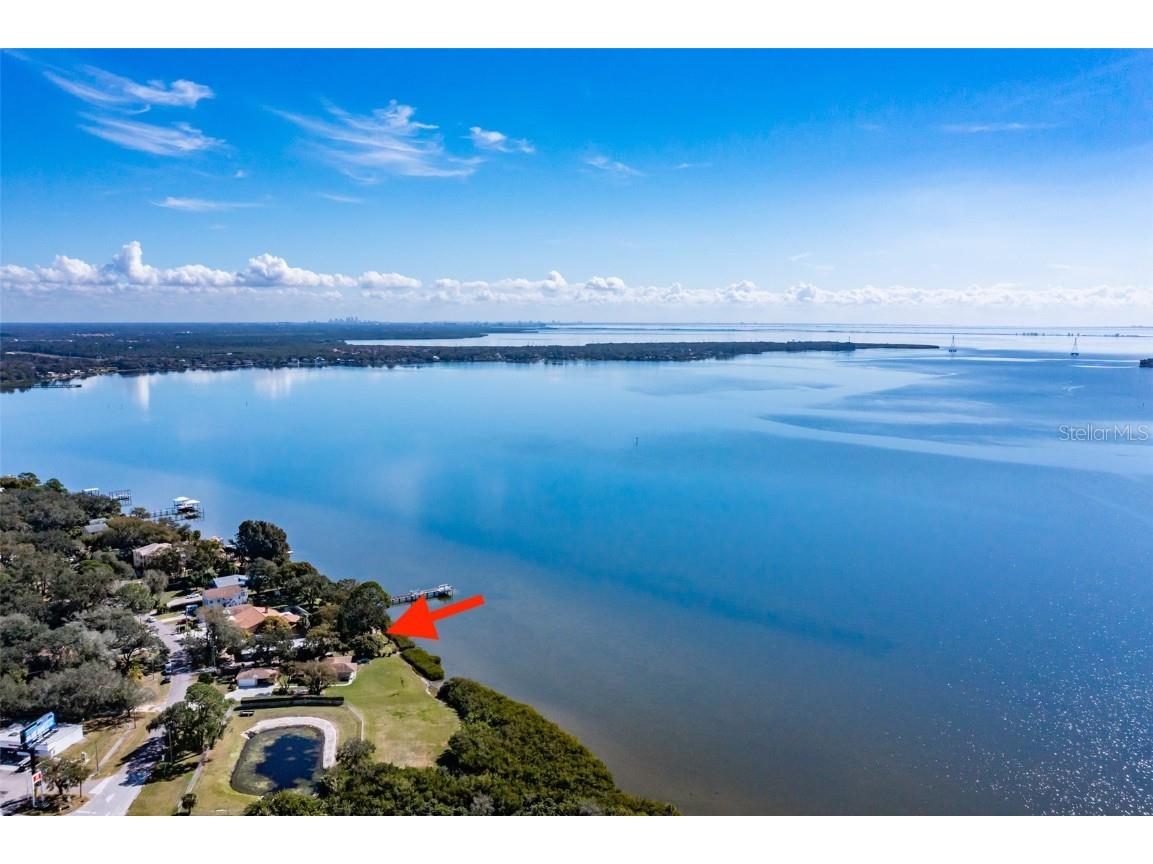3677 Shore Boulevard Oldsmar FL 34677 - TAMPA BAY T3425798 image1