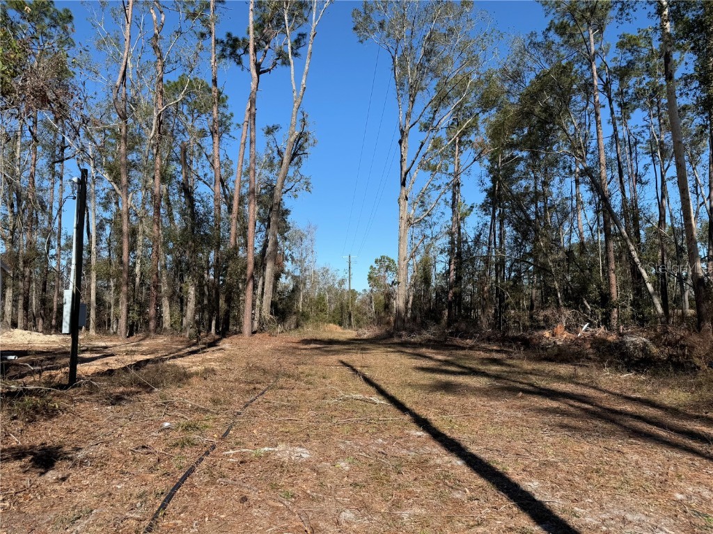 3678 205th Lane Live Oak FL 32060 GC527223 image1