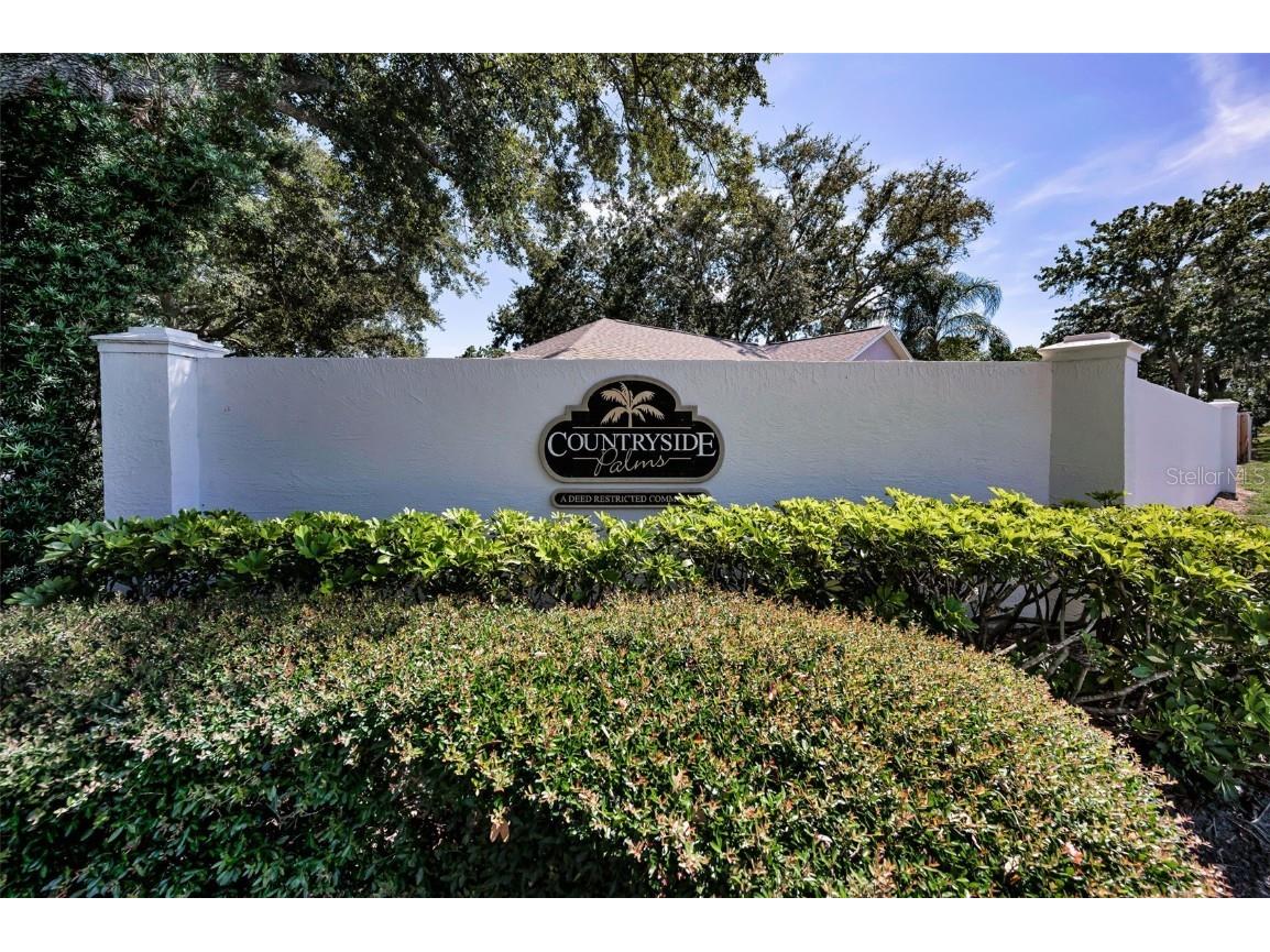 3678 Amelia Way Palm Harbor FL 34684 TB8409904 image2